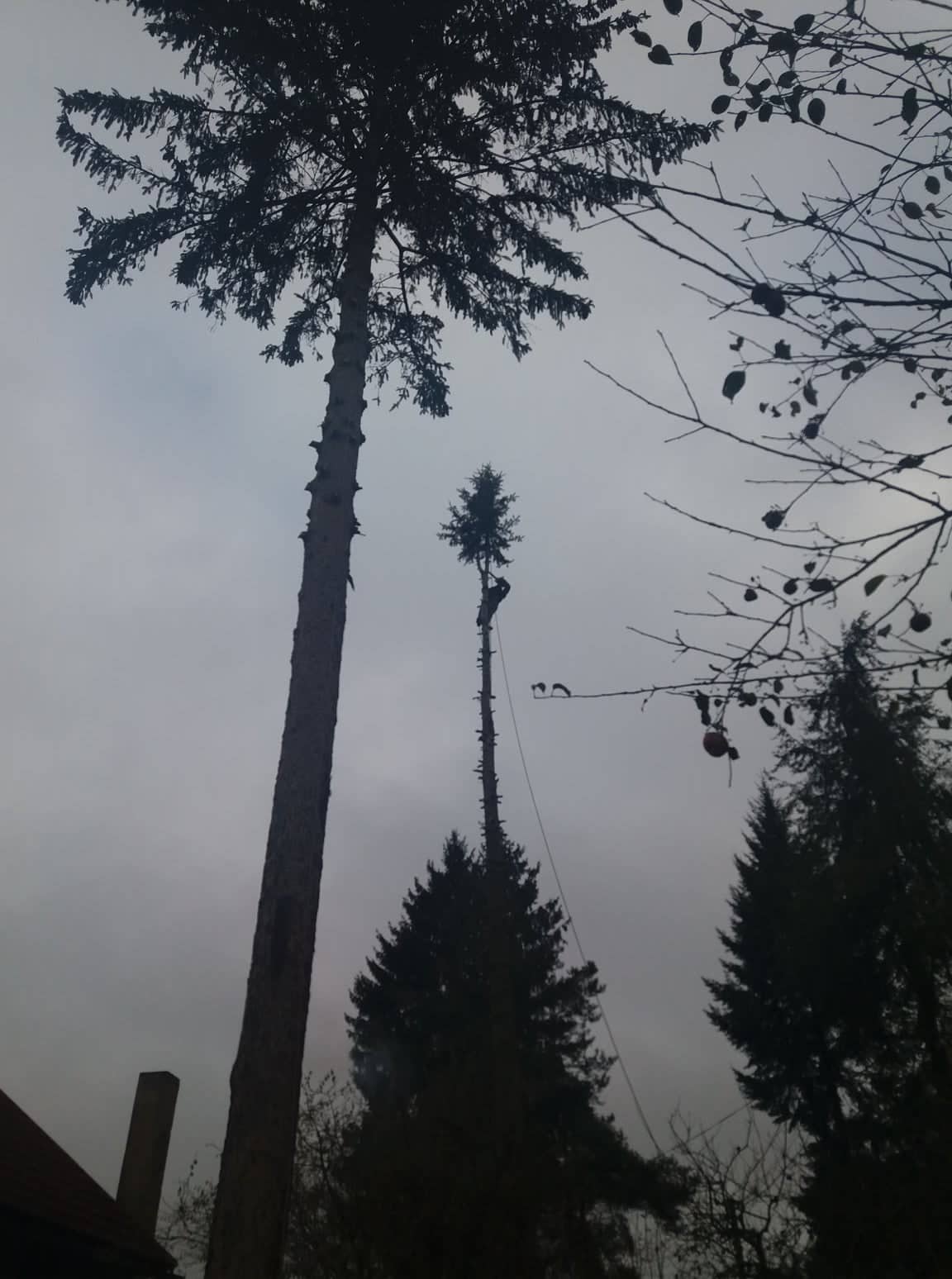 Vojtěch Stránský - vyskovepracesko.cz foto 4