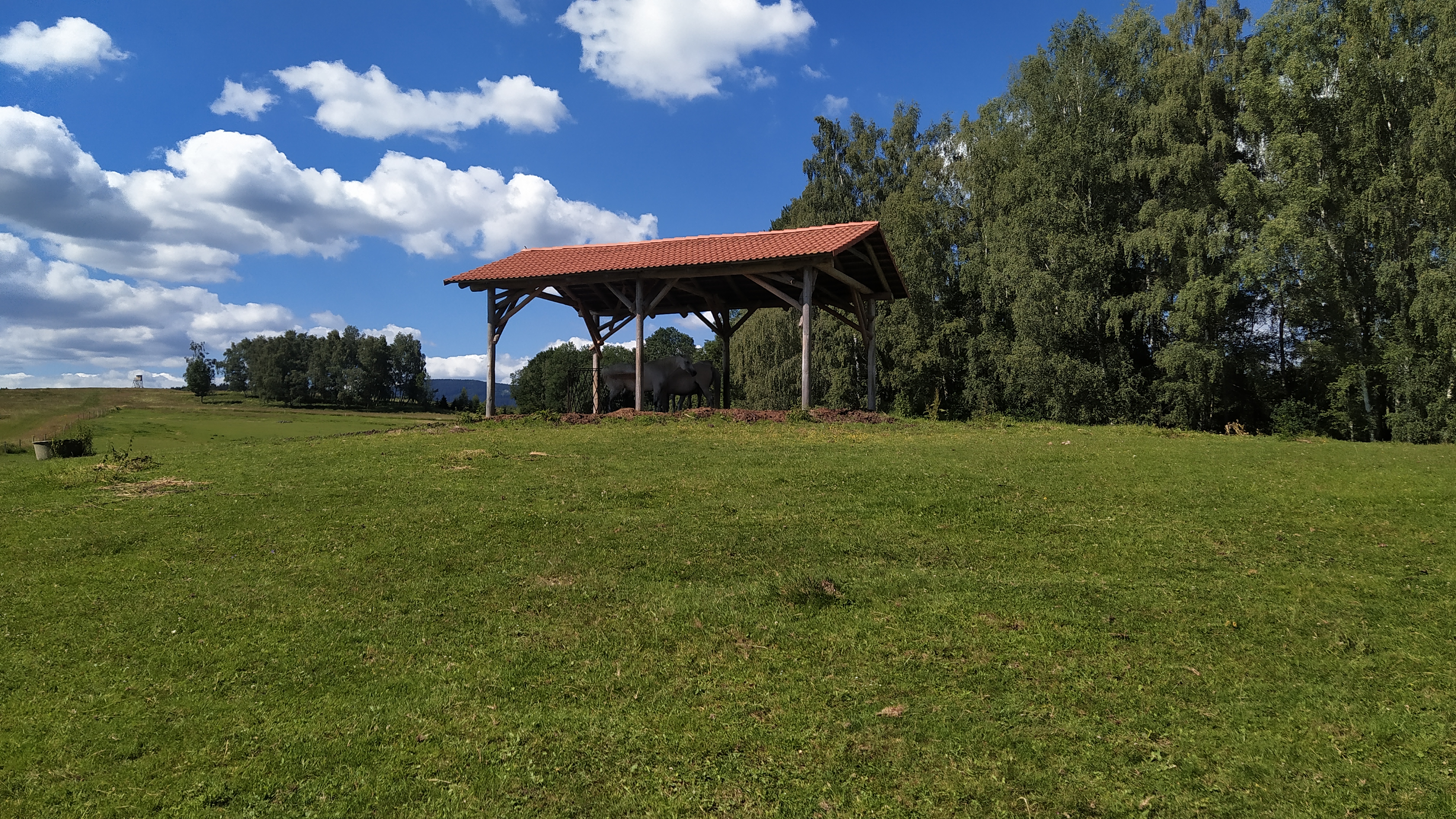 Autocamp Veveří foto 5