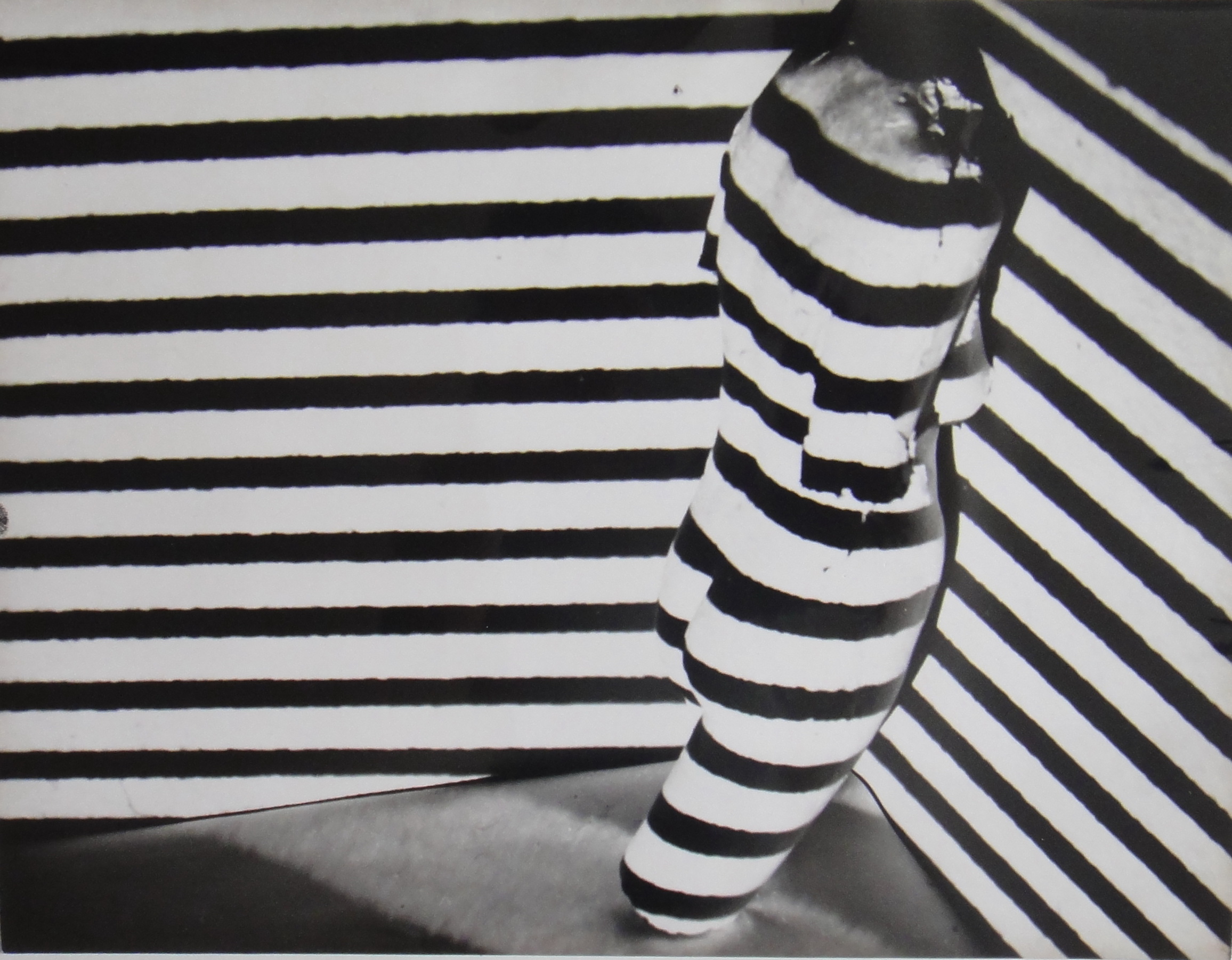 Galerie Artandconcept foto 4