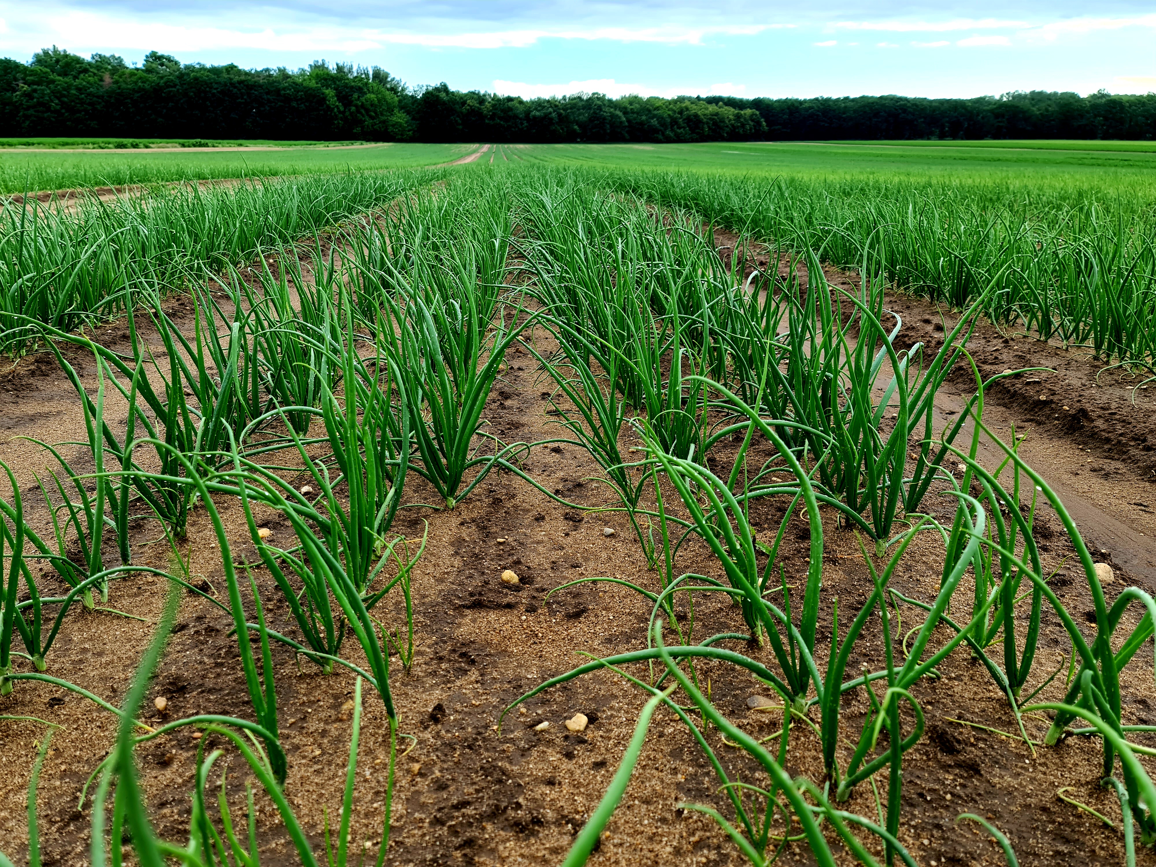 JUHAS DP s.r.o. foto 3