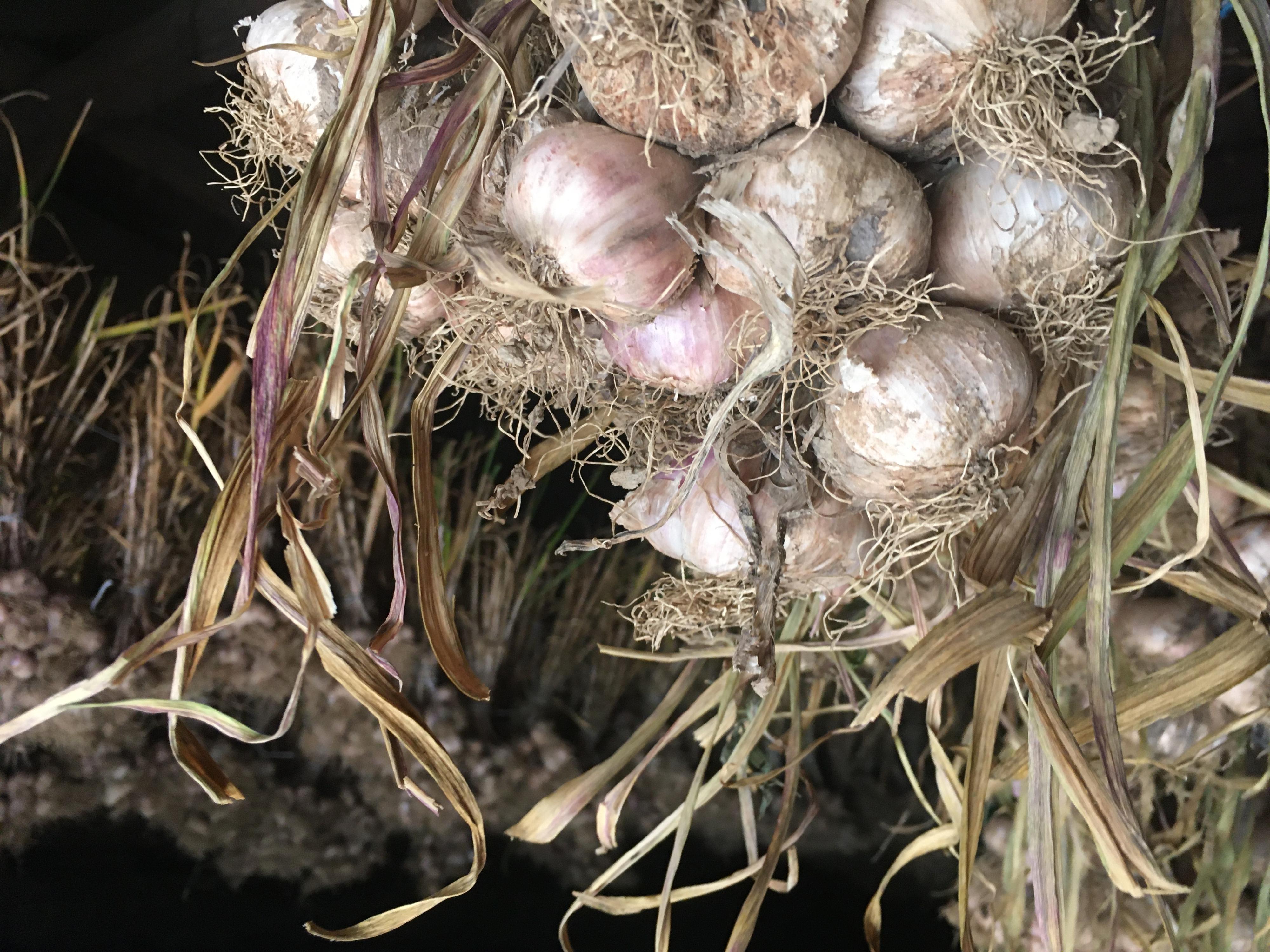 Farma Vidlákov foto 2