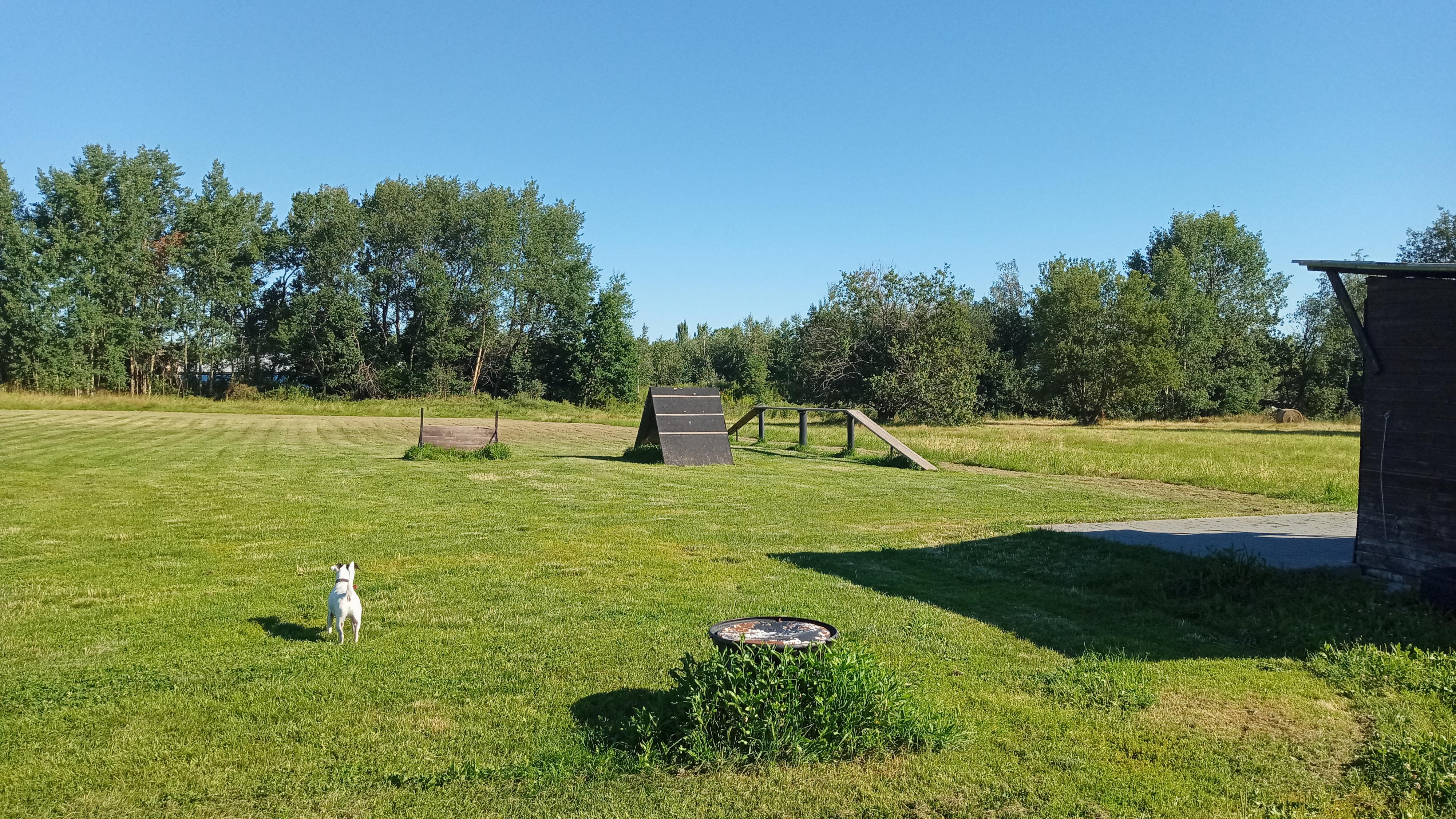 Psí škola VÁŠ PES Ludmila Nosálková foto 4