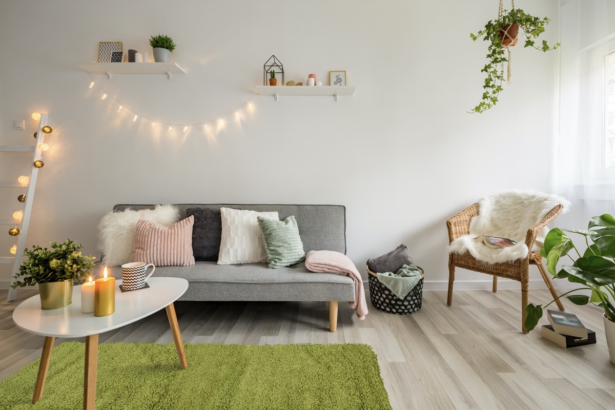 Mujkoberec.cz foto 3