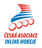 logo Česká asociace inline hokeje