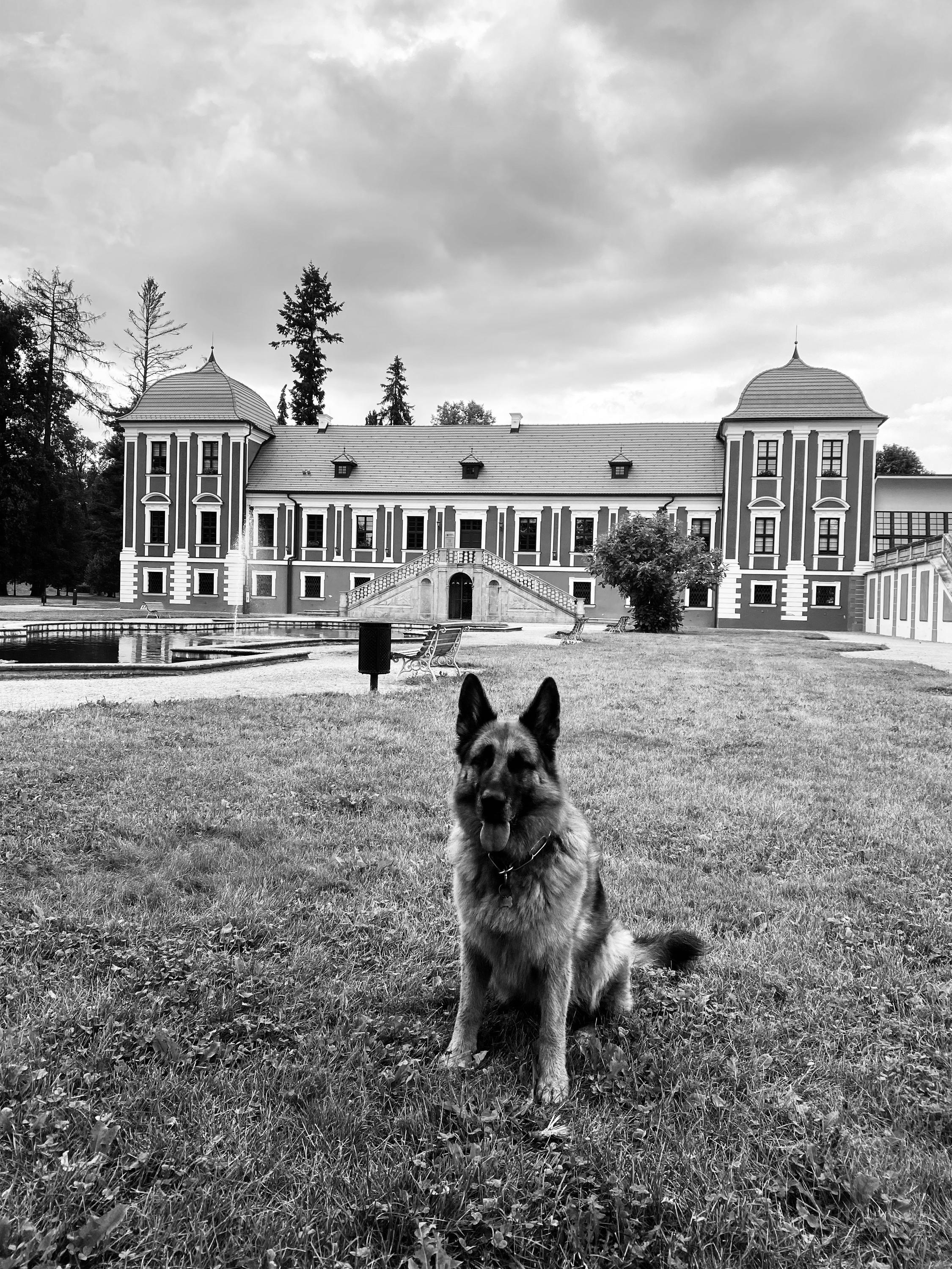Městská knihovna Ostrov foto 6