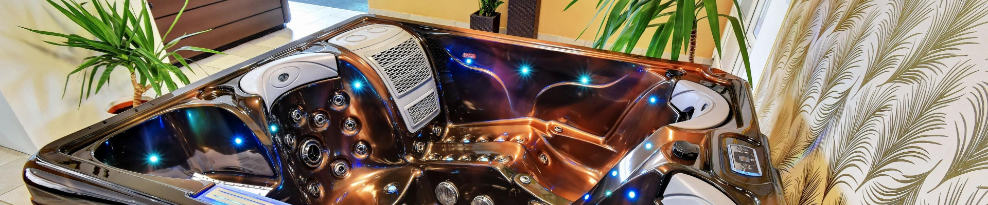 Úvodní obrázek Vířivky levně s.r.o.