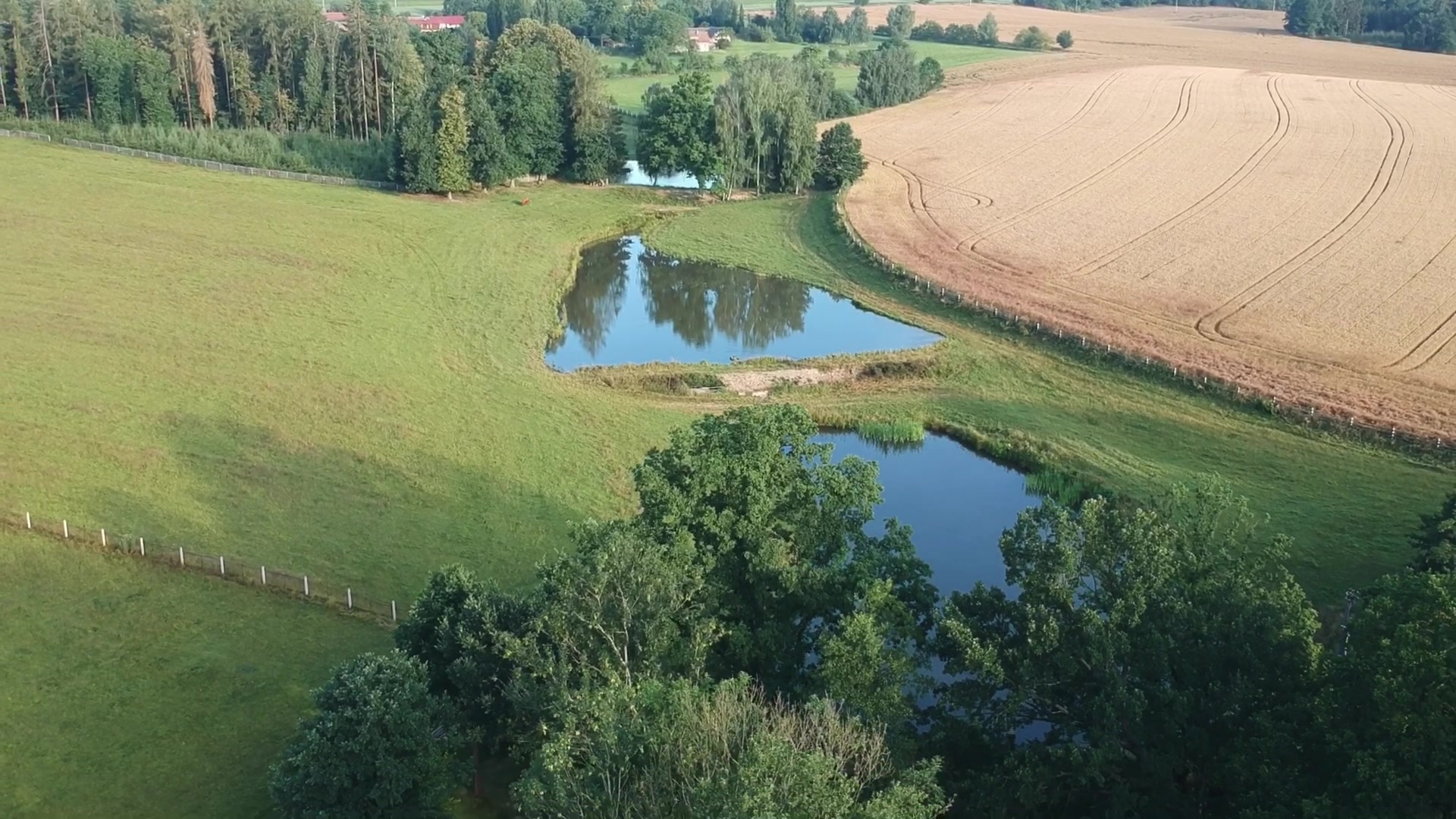 Samota Hojšín foto 2 (náhled videa)