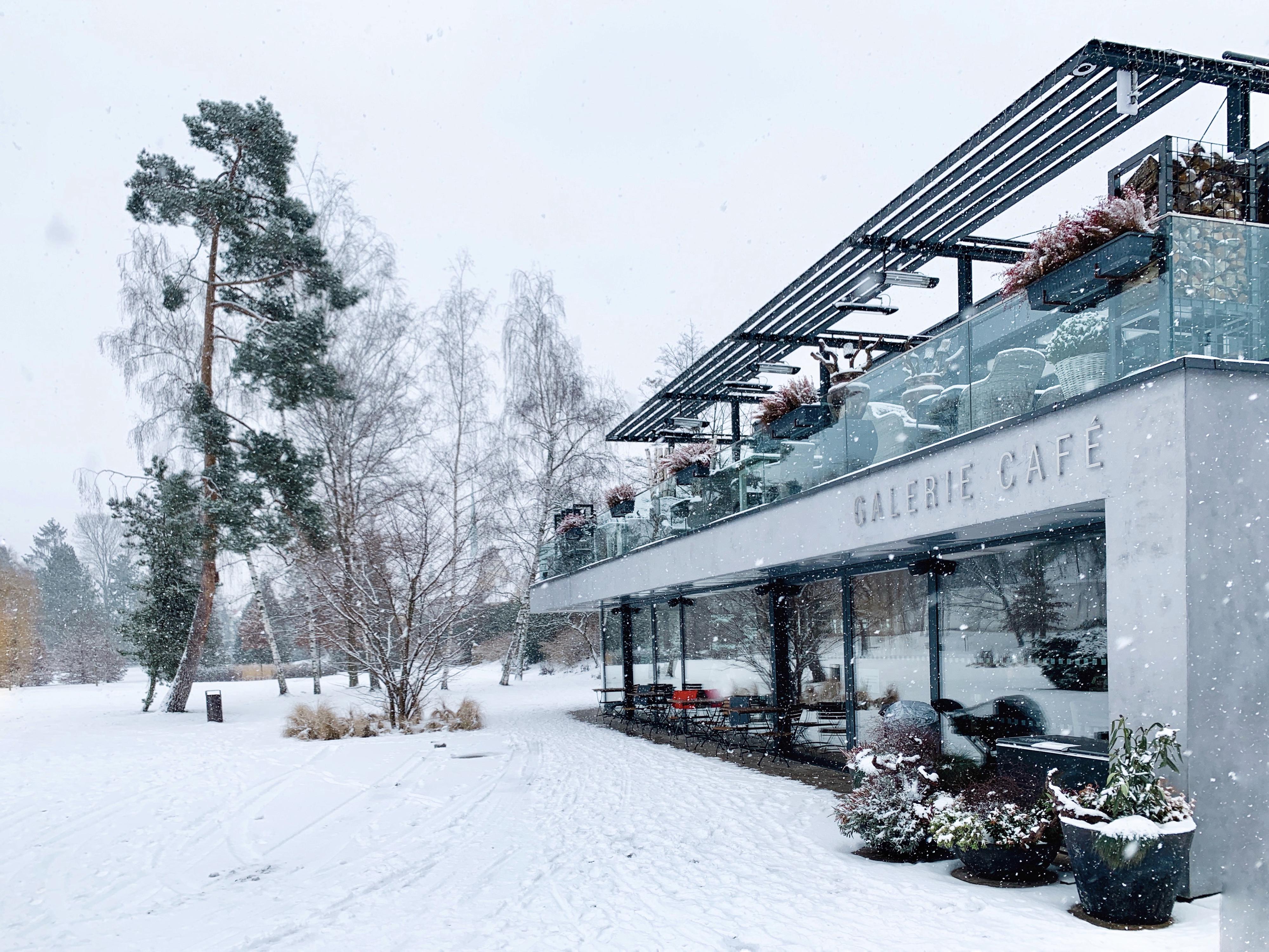 GALERIE CAFÉ - PARK RESTAURANT