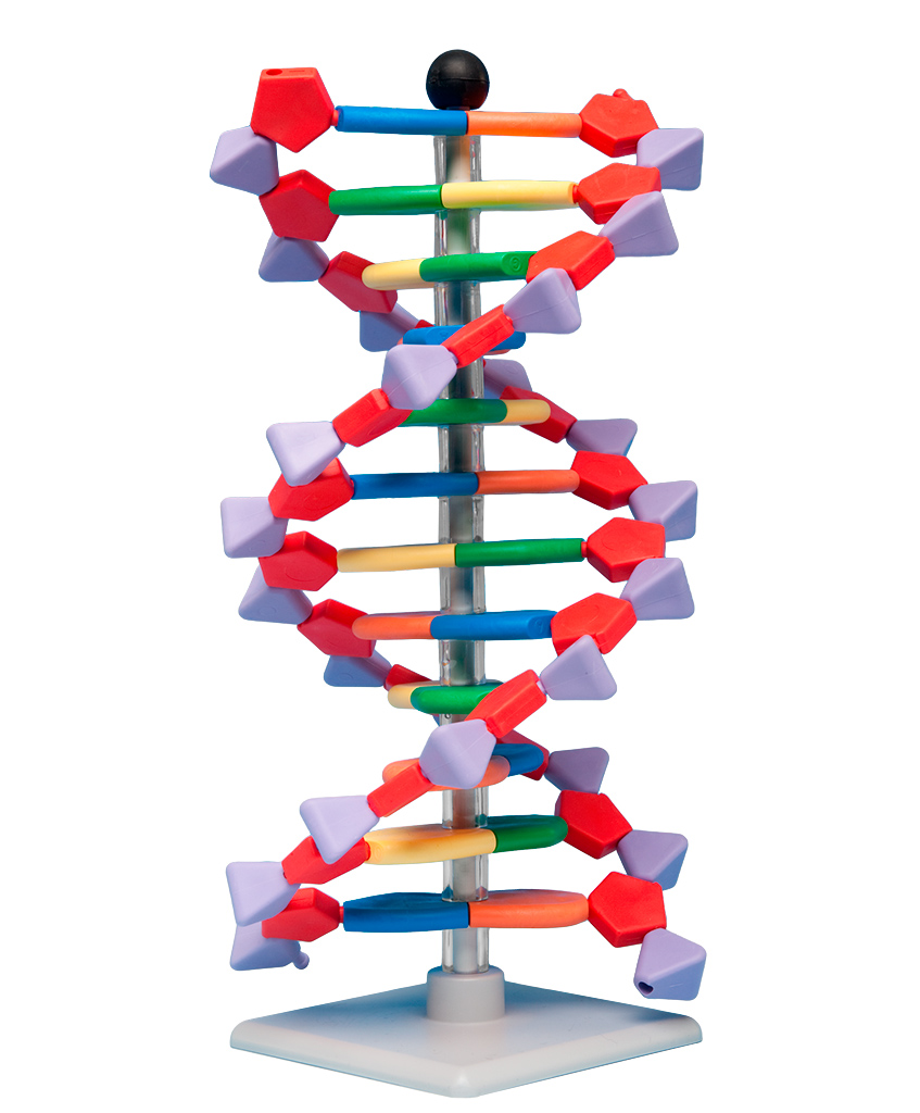 RNDr. Karel Martyčák - Učební pomůcky foto 4
