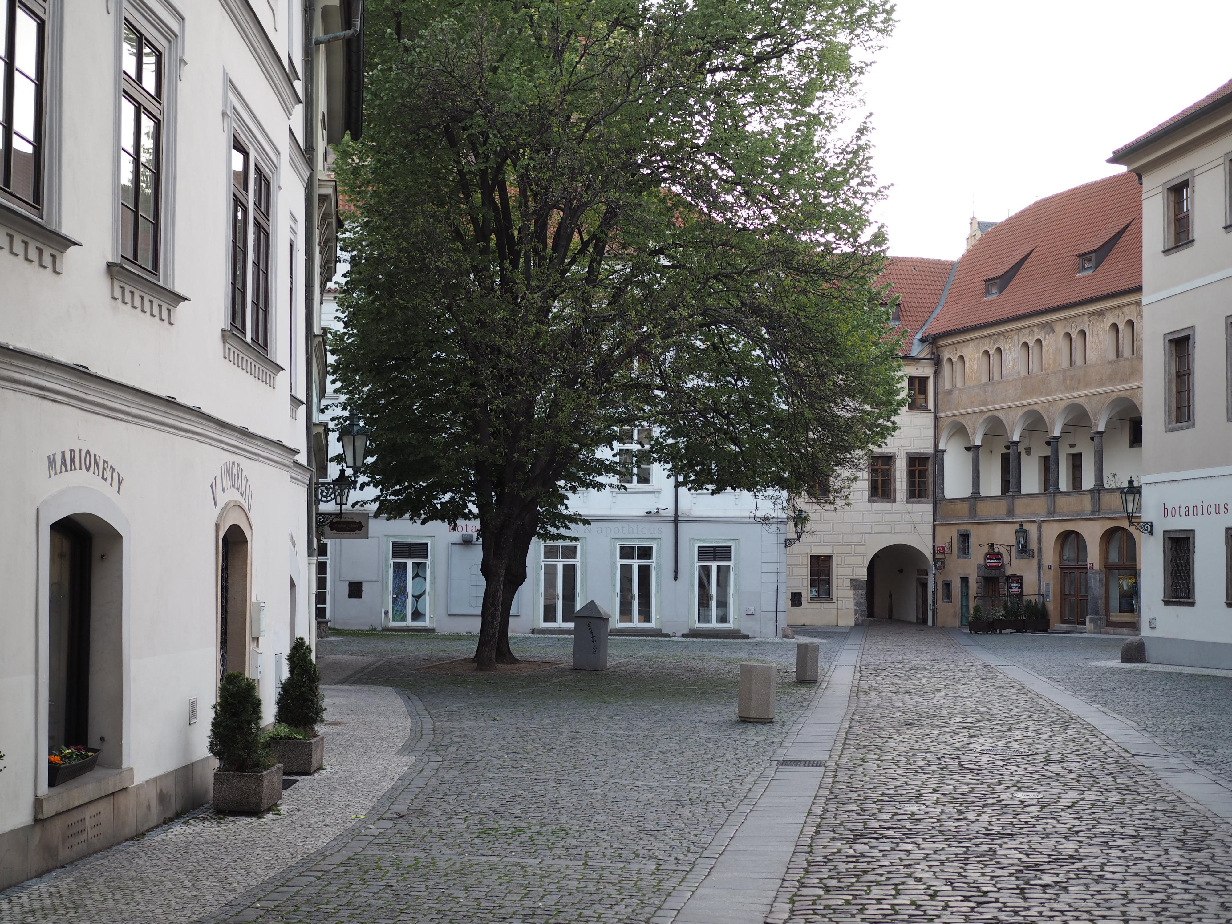 Tradicneacesky.cz