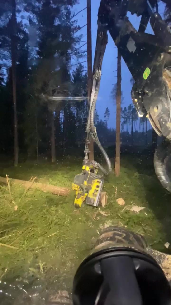 Milan Diviš - Těžba a přibližováni dřeva foto 2 (náhled videa)