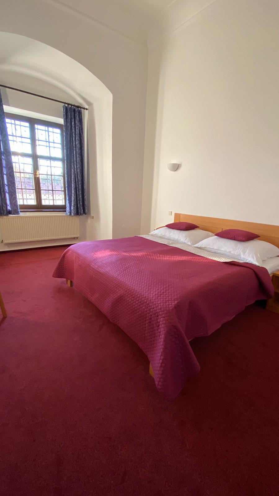 Hotel Chateau Zámek *** Čejkovice foto 6