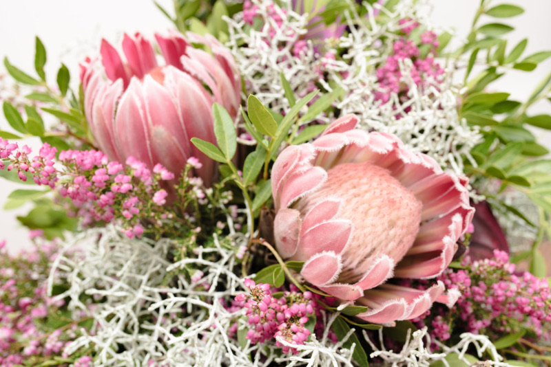 Nicola Hamalčíková - Alma mater design foto 2