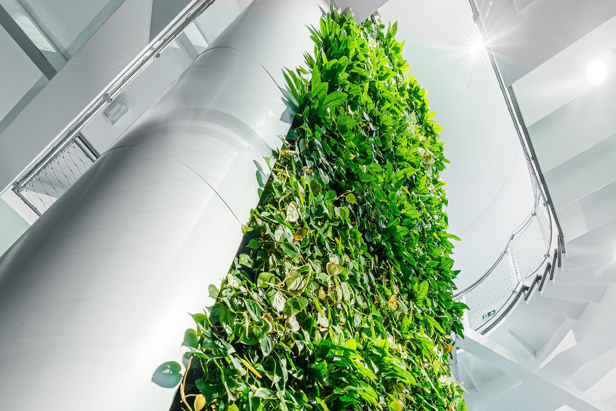 Flora Urbanica, s.r.o. foto 2