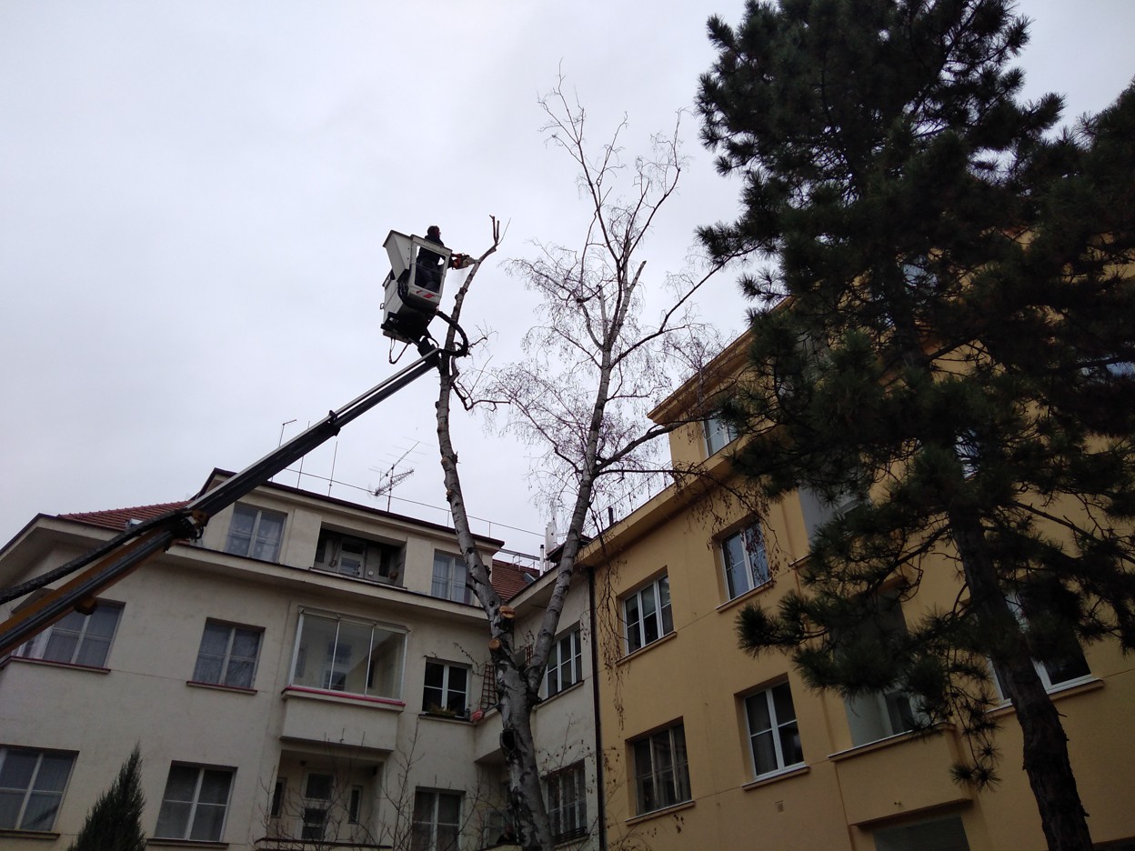 SALAGONI - Rizika bez rizika foto 3