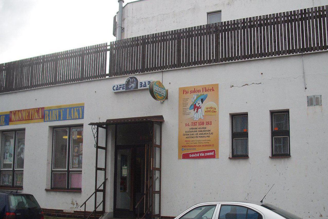 Psí salón Flíček