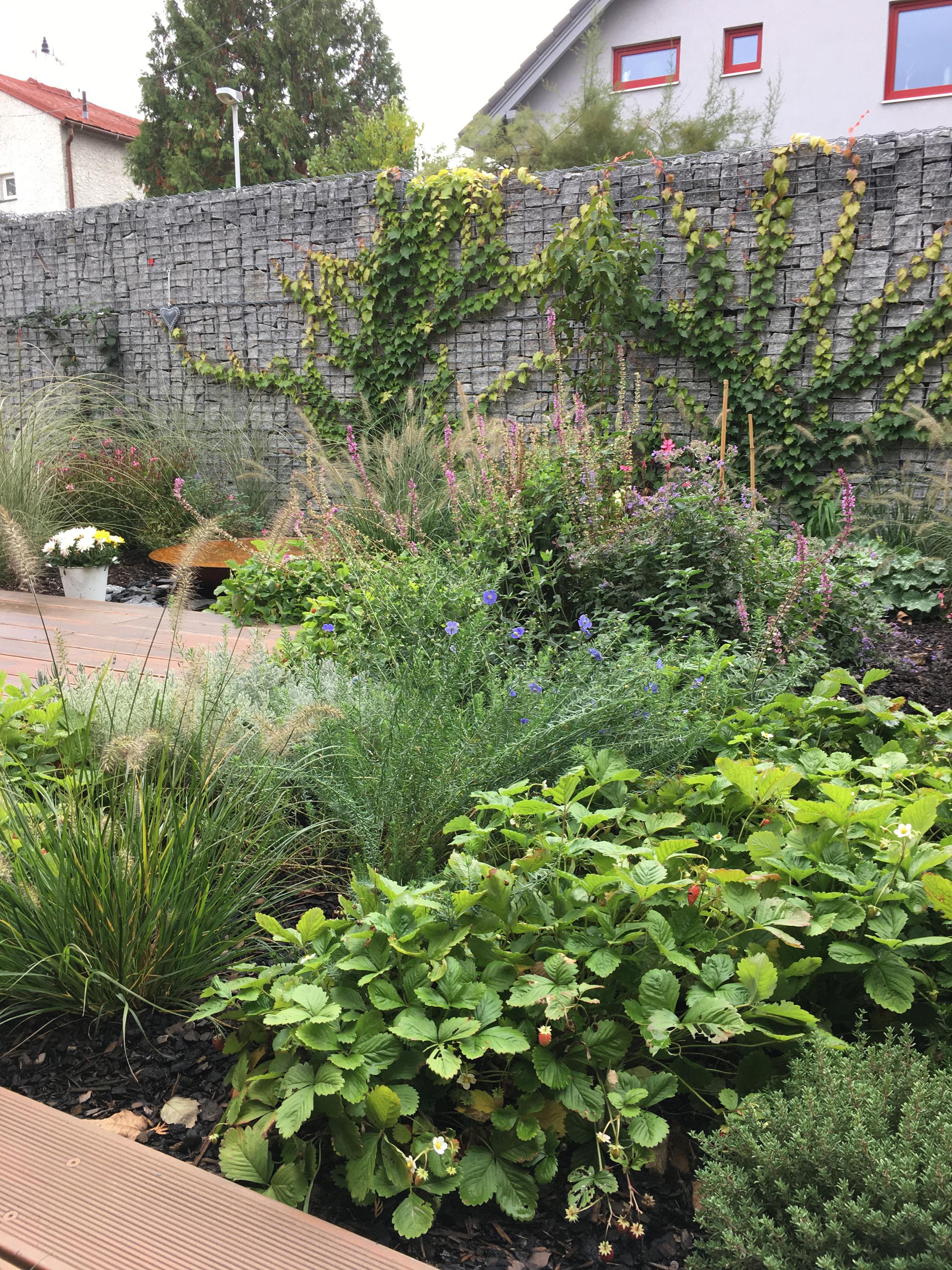 Zahrada profesionálně foto 4