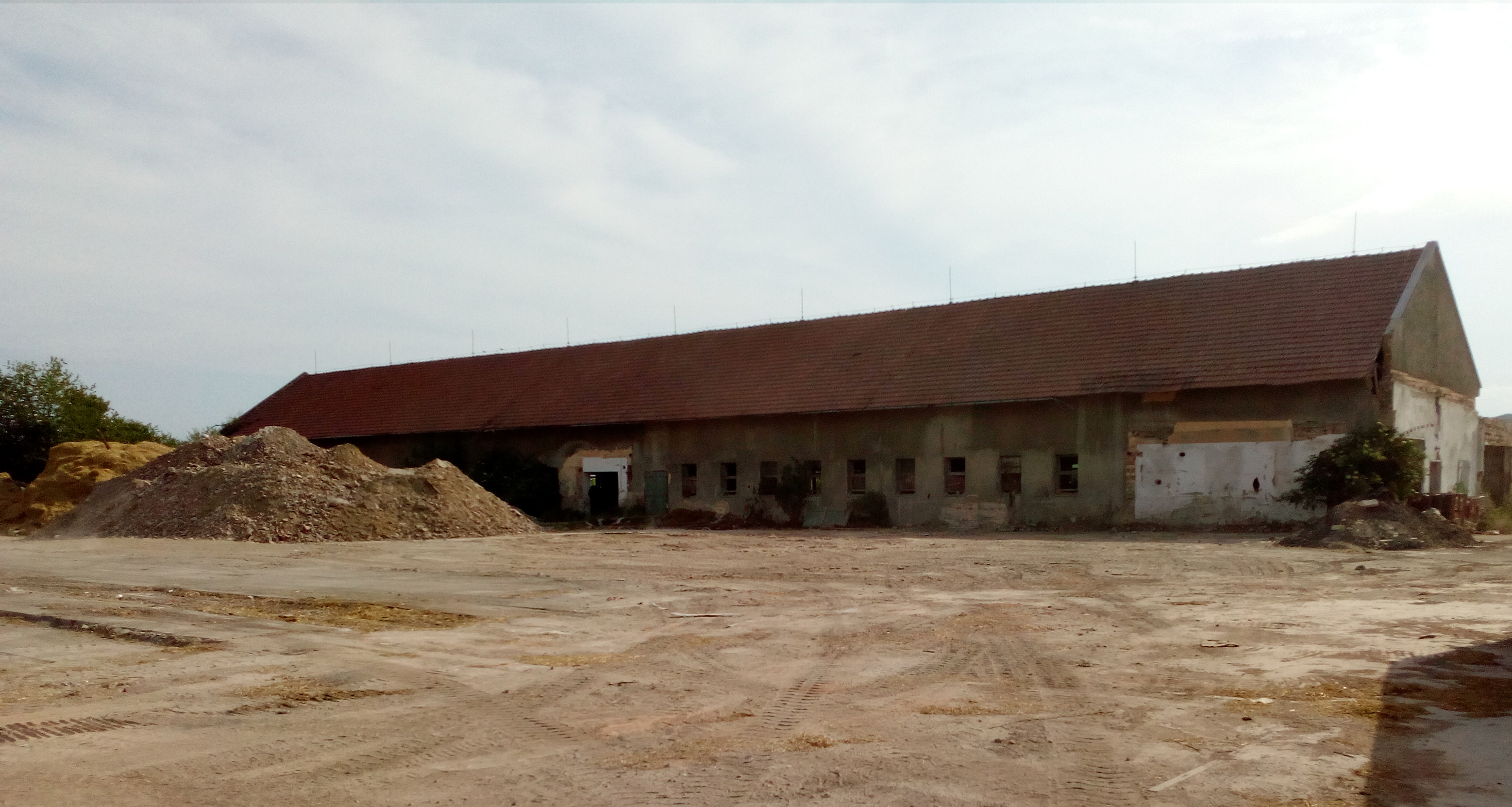 Dalu recovery foto 2