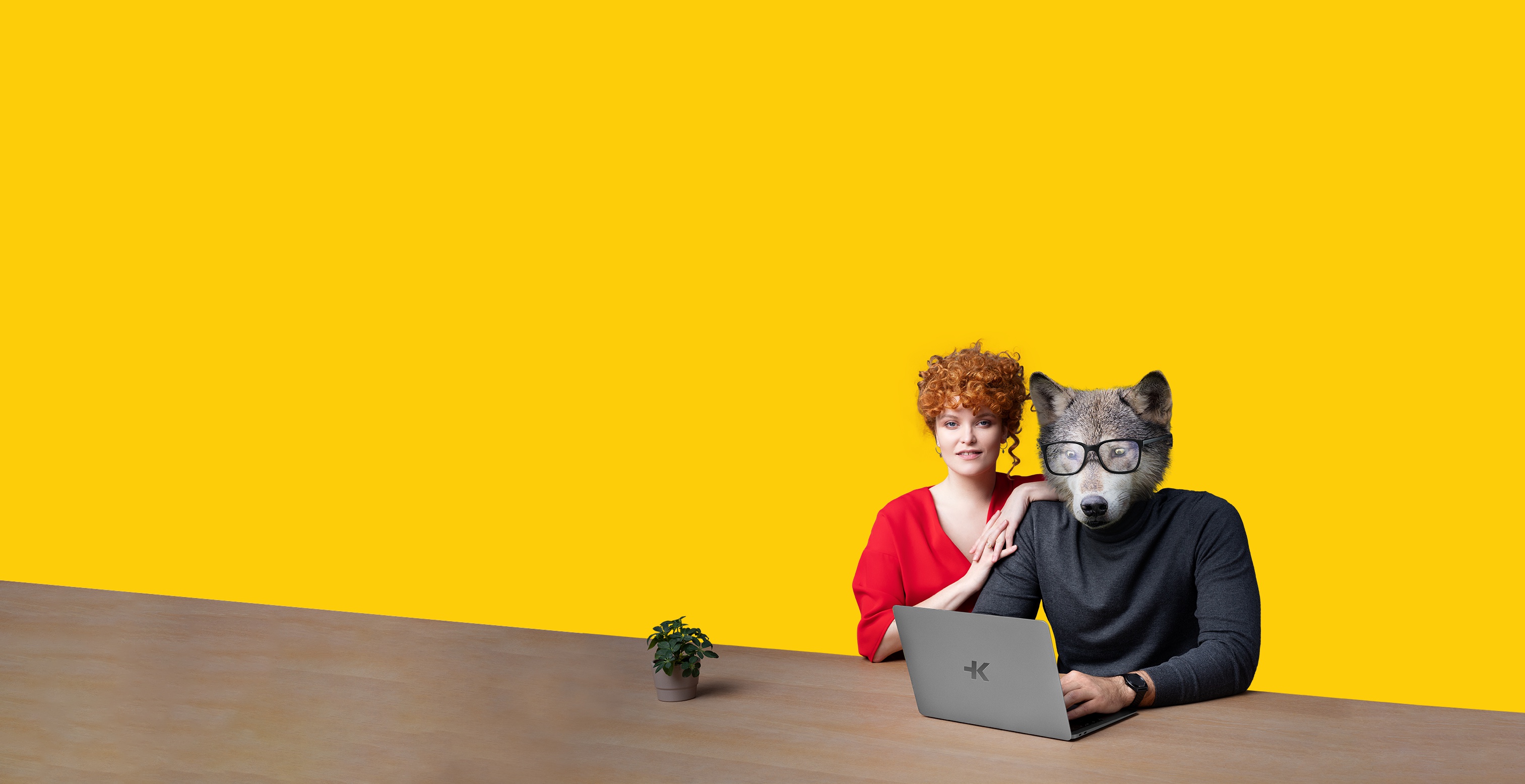 Kalkulátor.cz foto 2