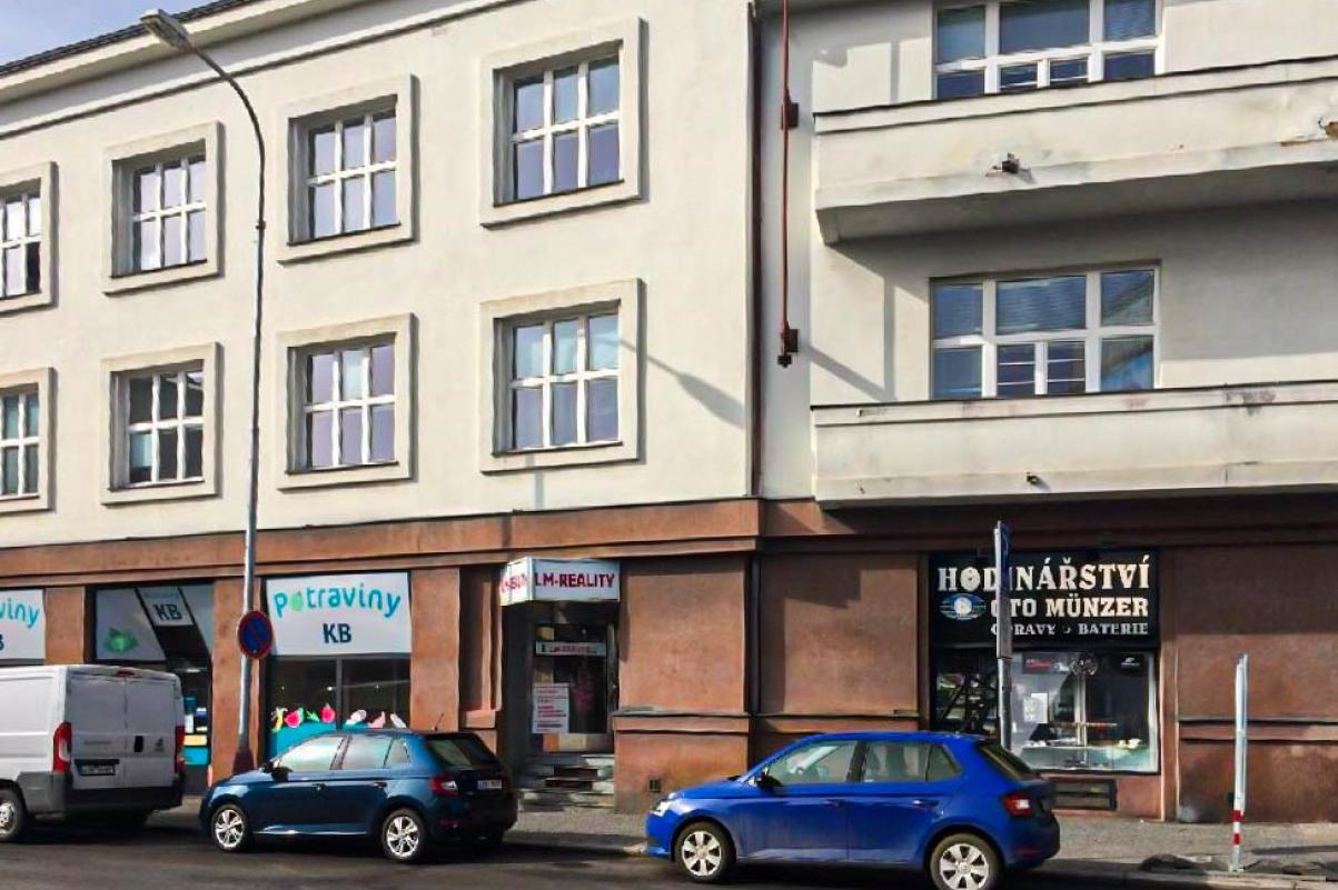 Ludmila Műnzerová - LM- REALITY