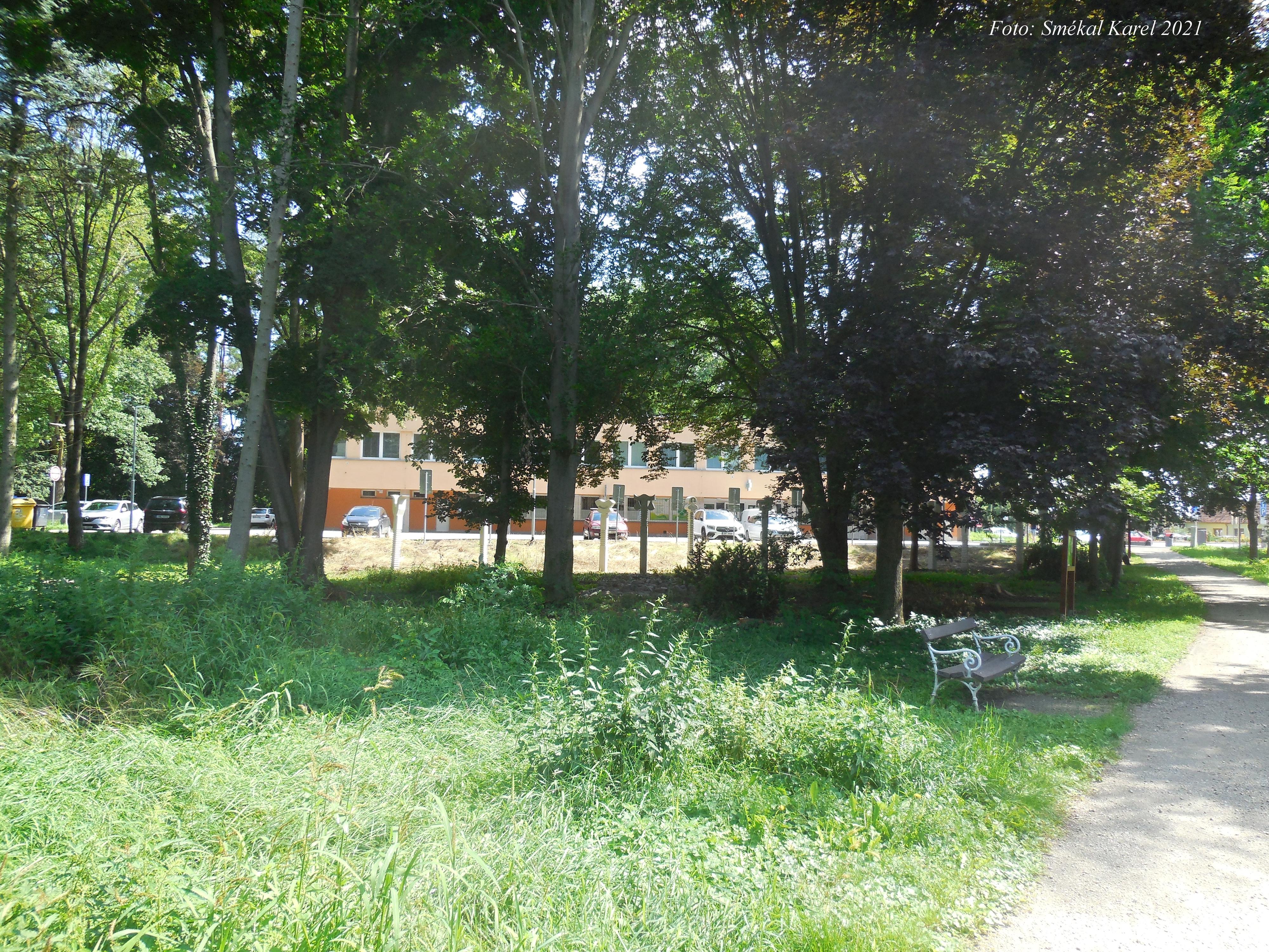 Lékárna Cyrmex Pohořelice II foto 4