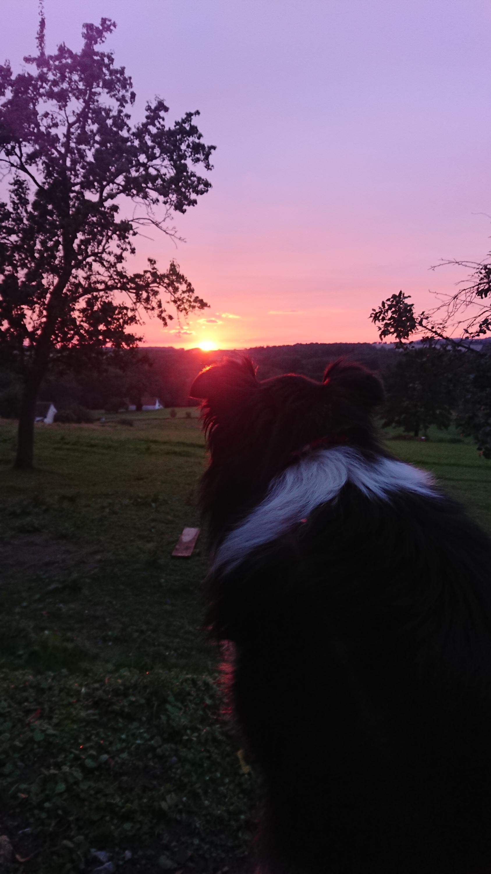 Machoňův statek foto 5