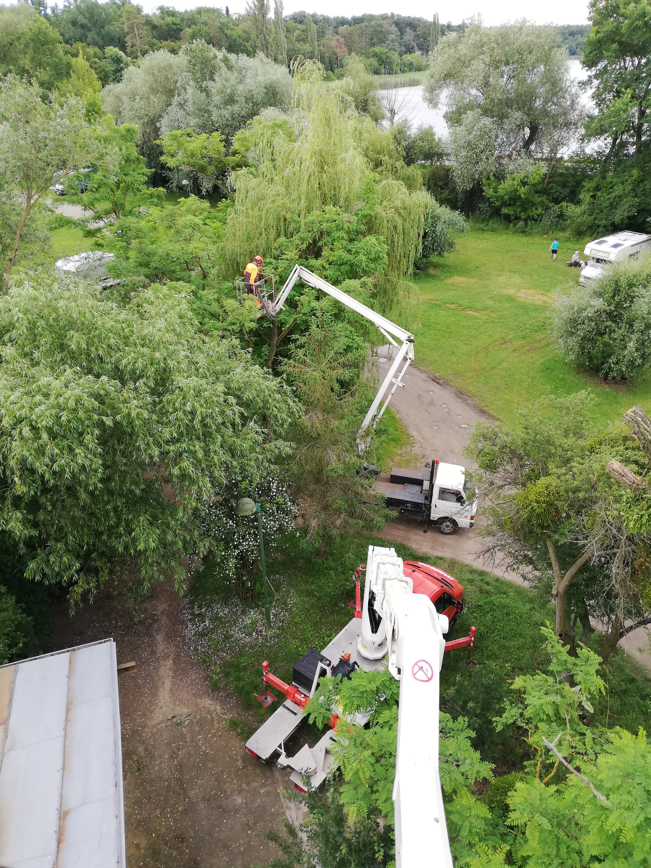 praceplosinou.cz foto 2