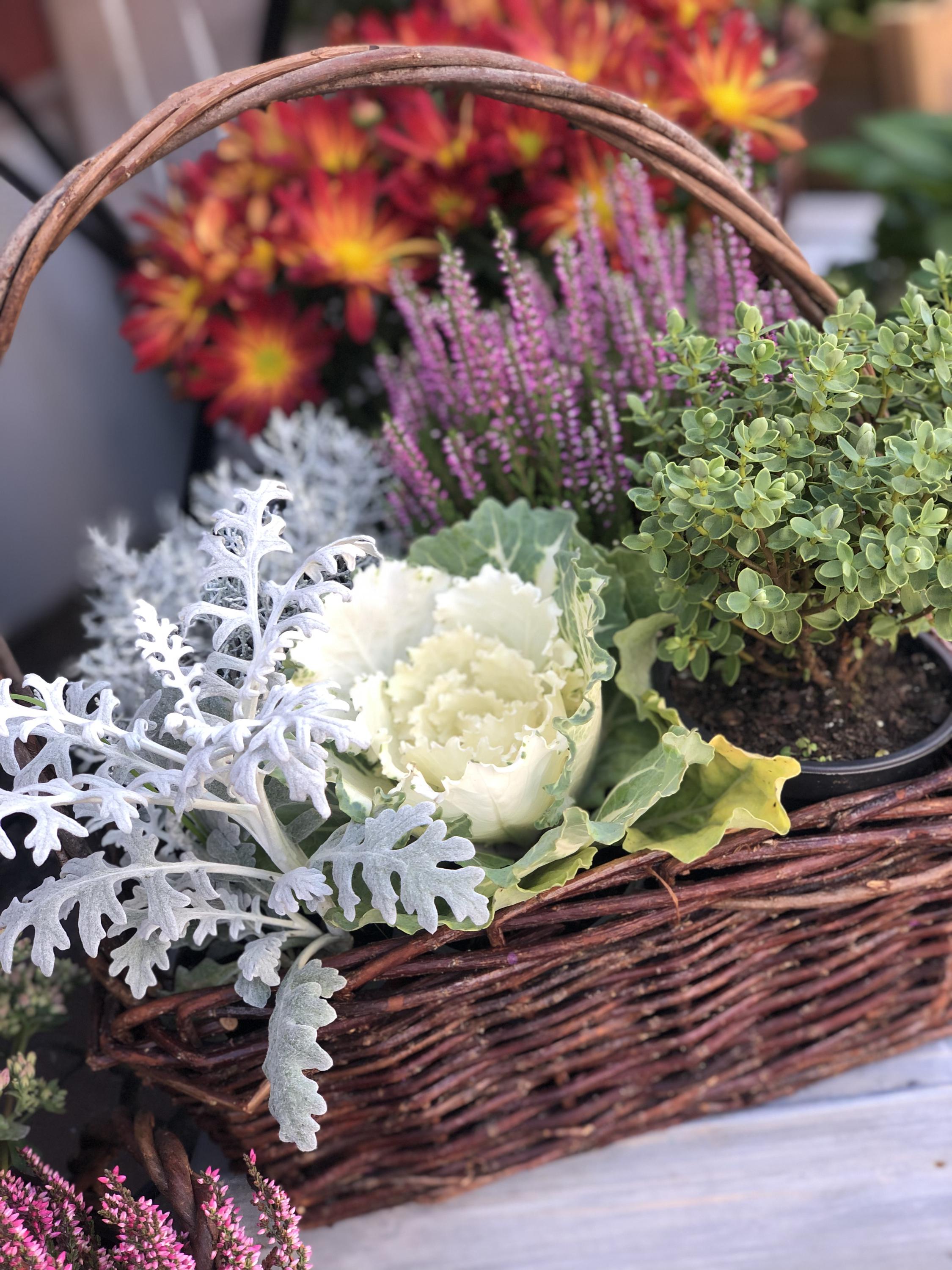 Květina z lásky foto 3