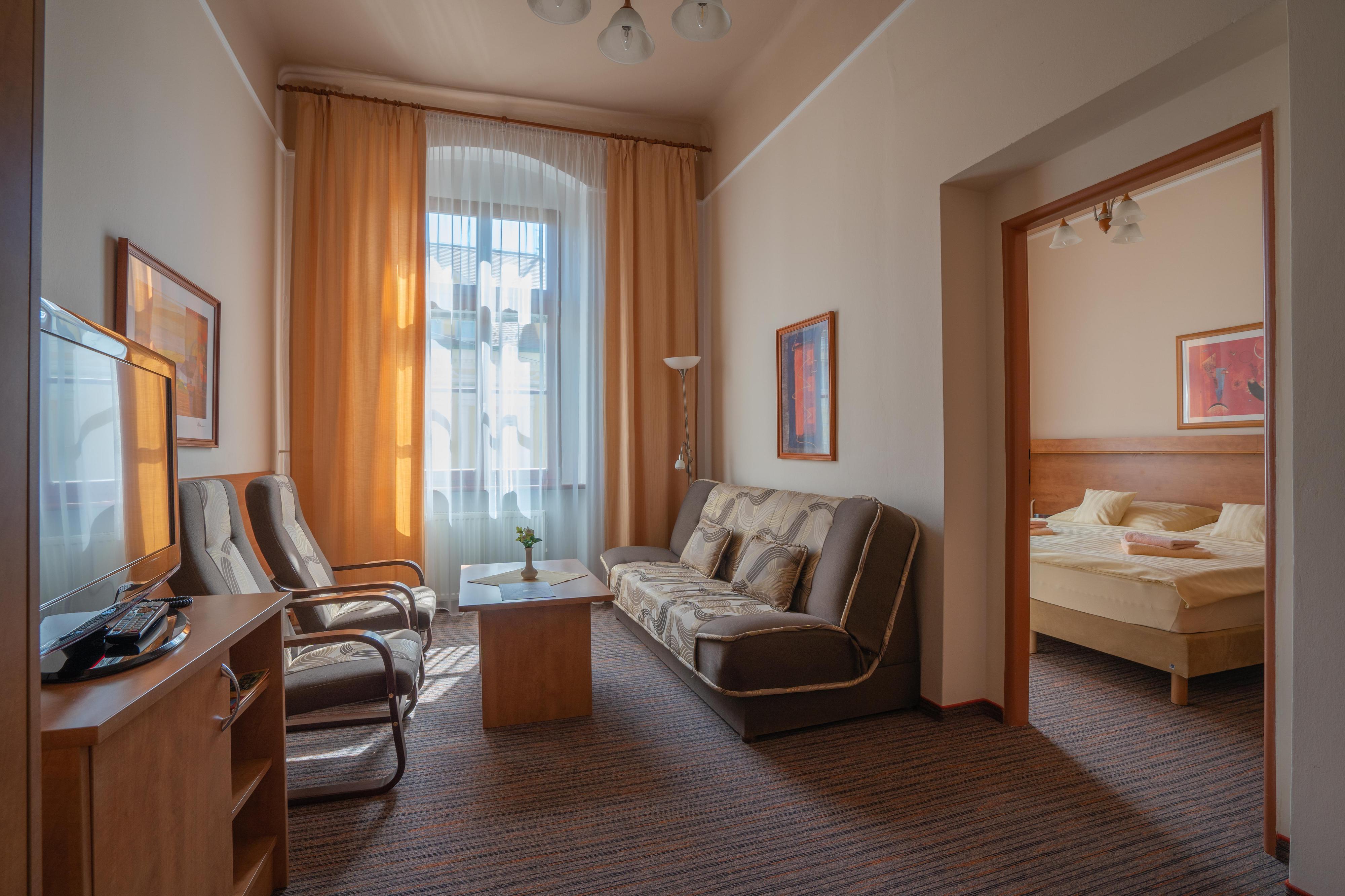 LD Palace s.r.o. - Lázeňsků dům Palace I. foto 6