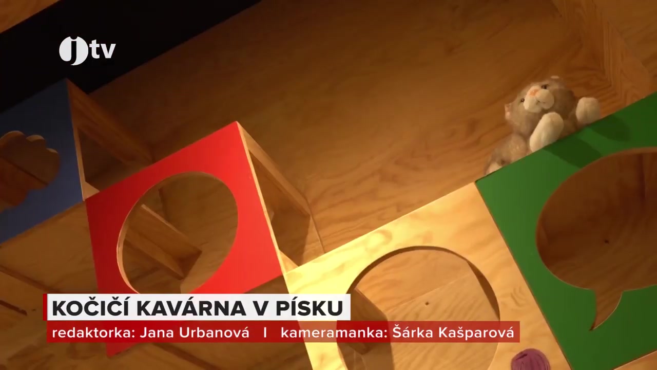 KočKavárna foto 2 (náhled videa)