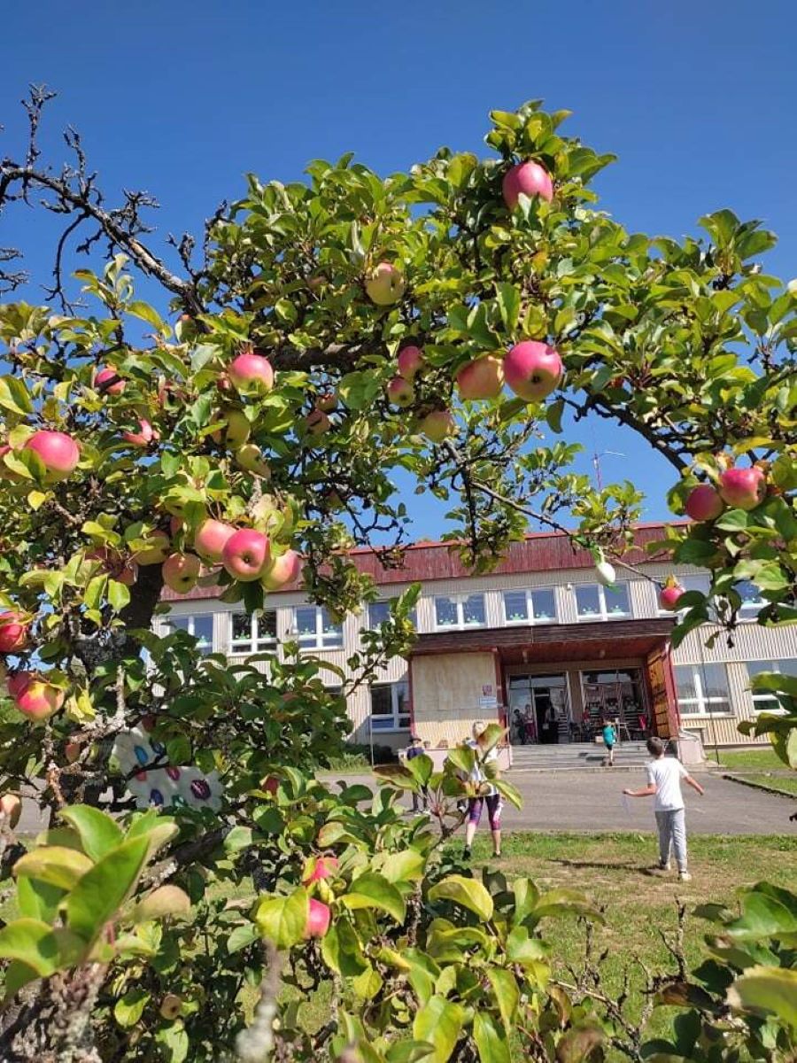 Základní škola a Mateřská škola Halže foto 2