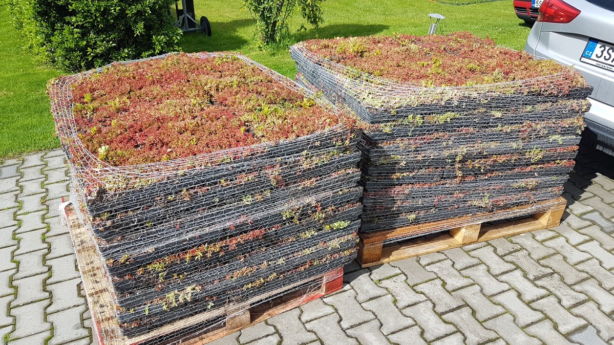 Zelené střechy ECOSEDUM® PACK foto 2