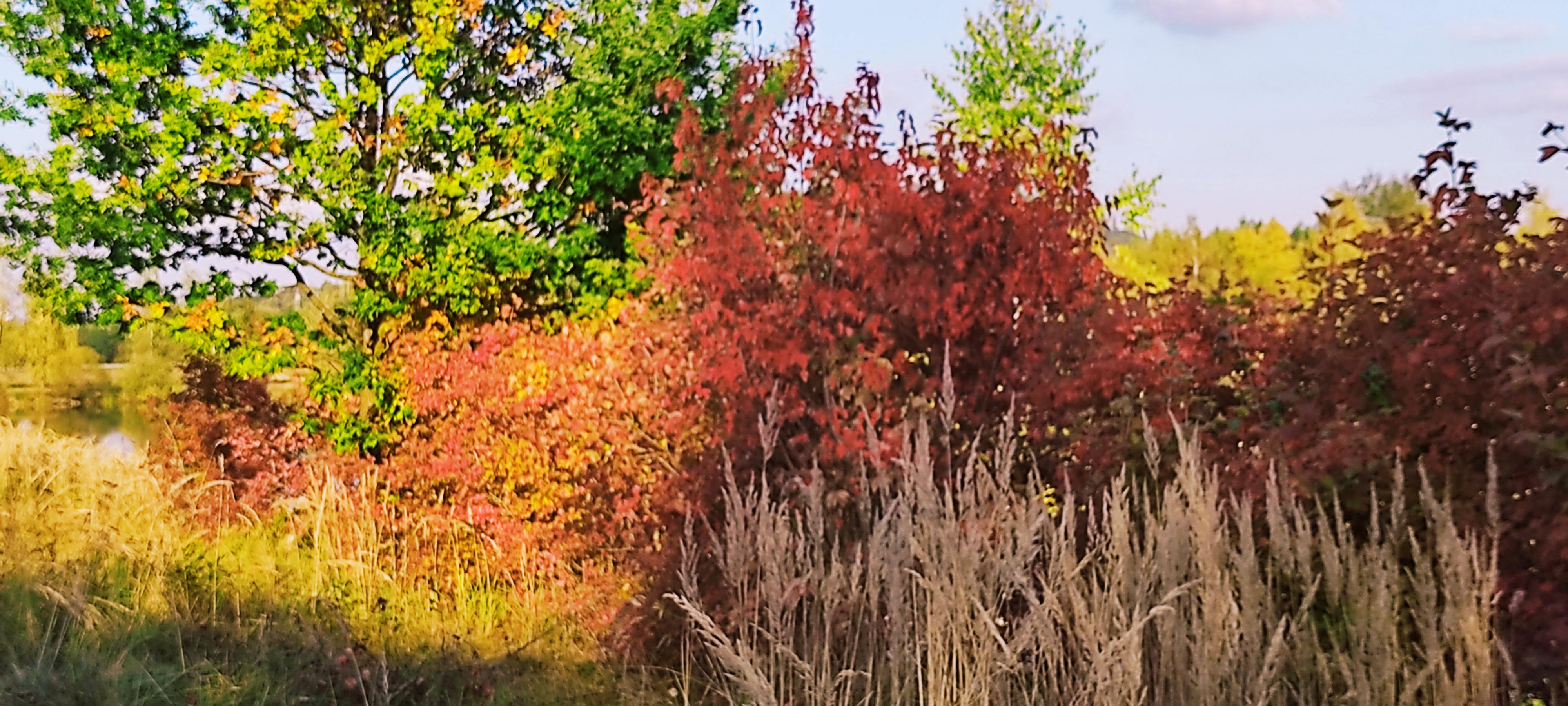 Silnice Klatovy, a.s. foto 5