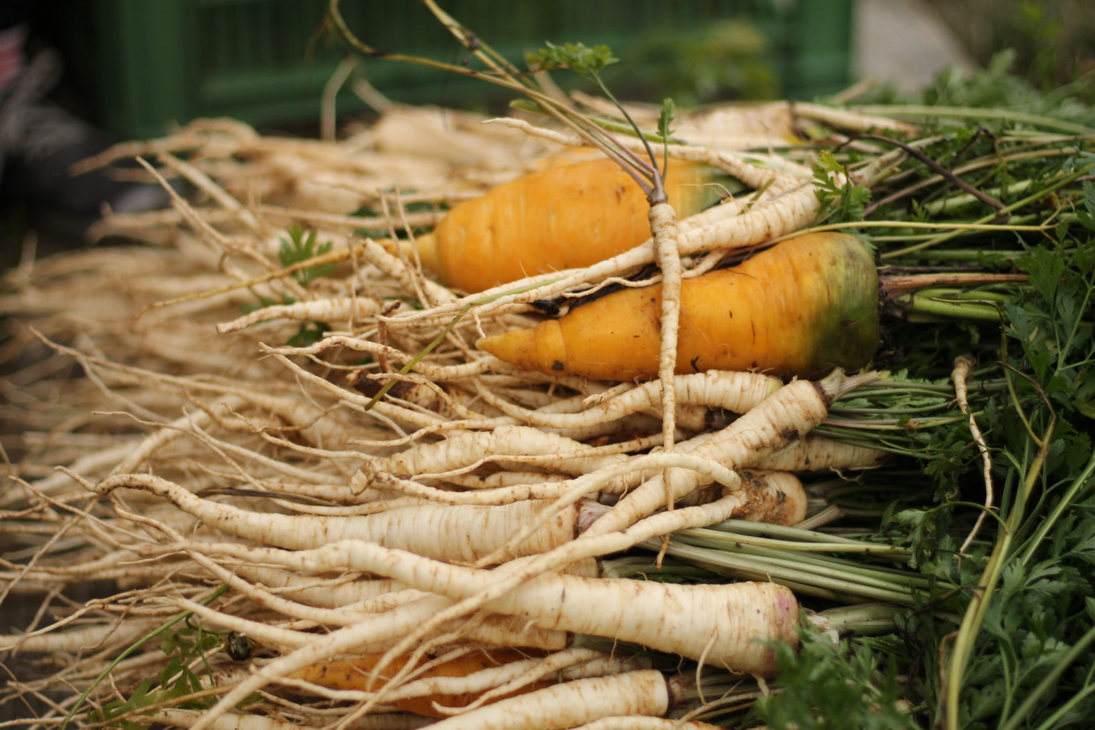 Statek u Macháčků | bio zelenina a ovoce, bio mouka foto 3