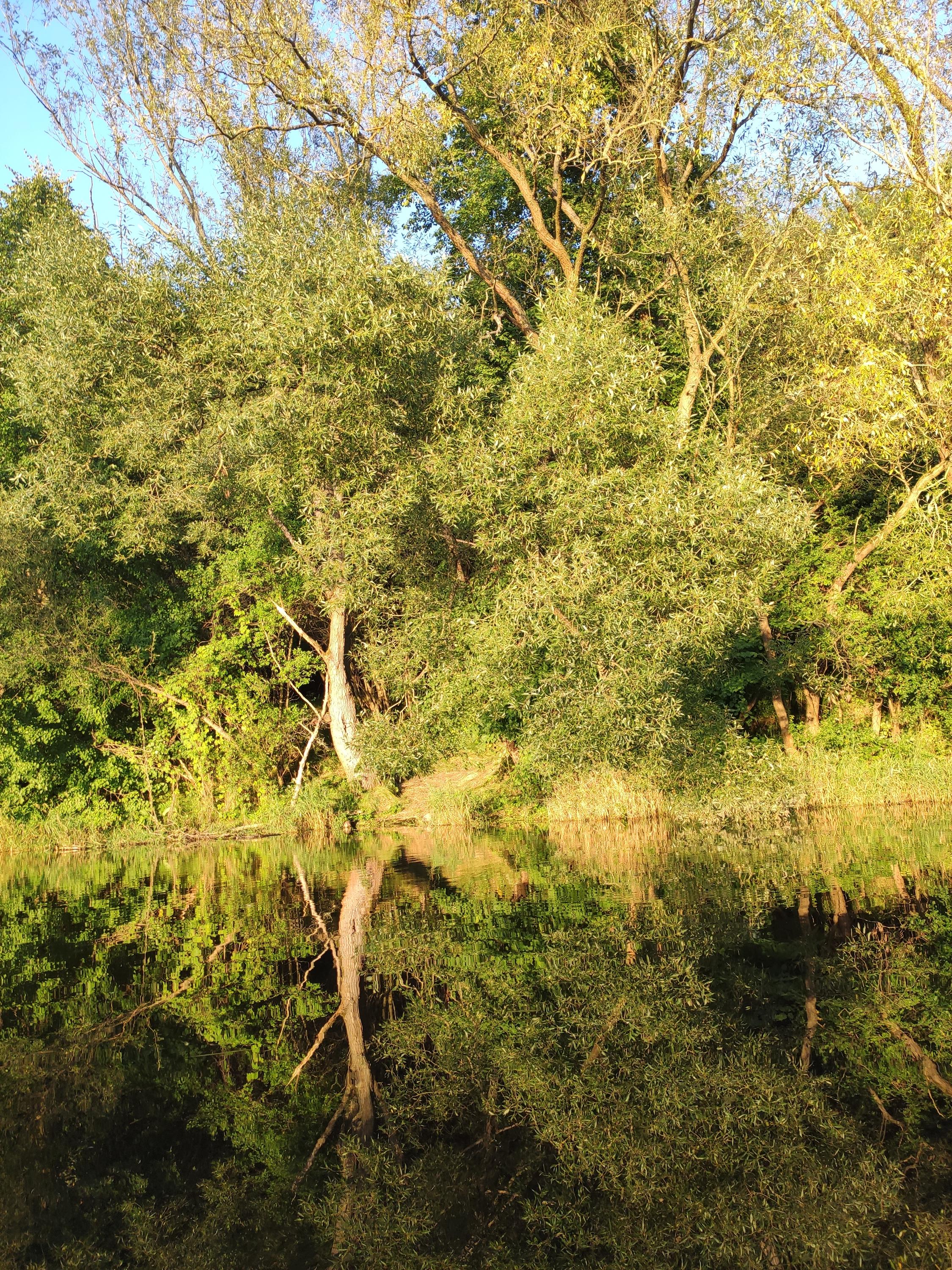 Apartmány U kapličky foto 5