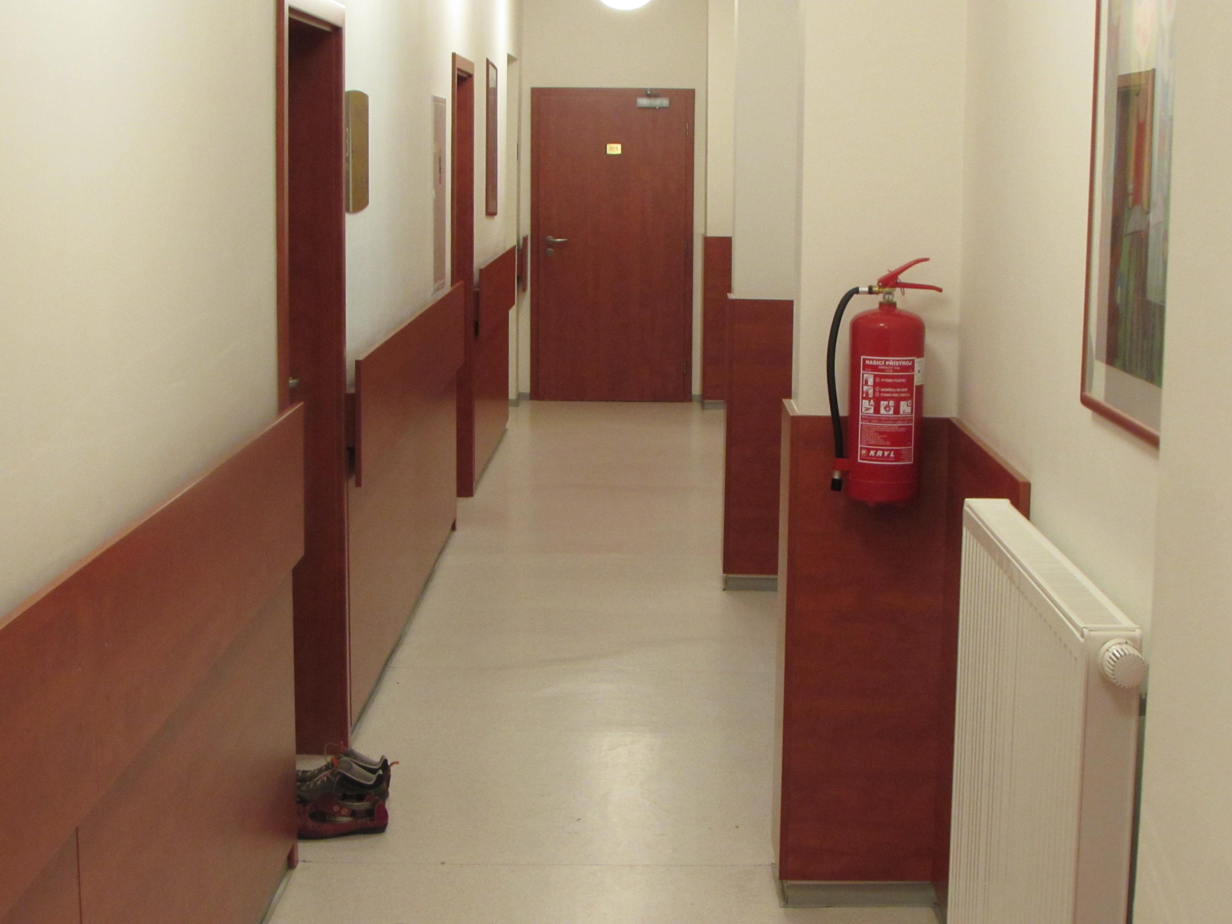 Lázeňský dům Jubilejní vila*** foto 6