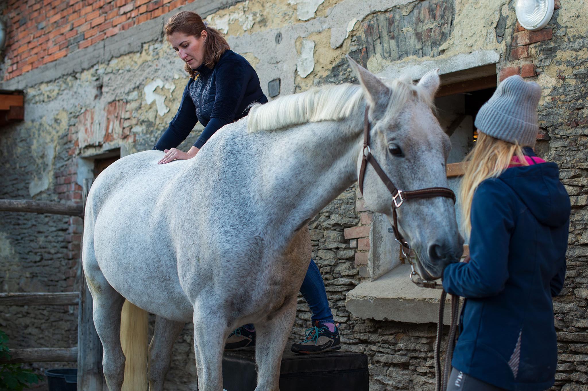 MVDr. Kateřina Černá
