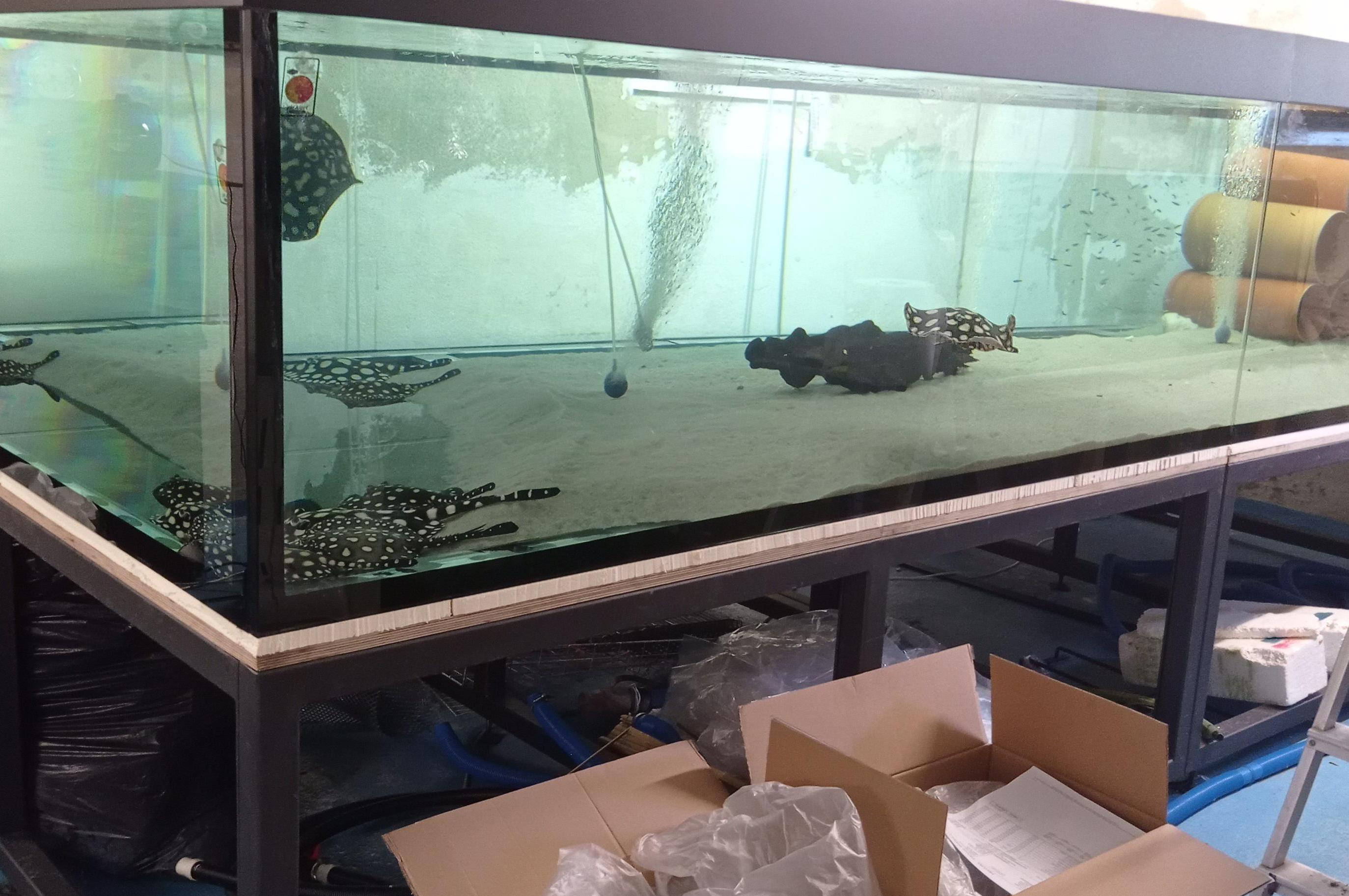 Sklenářství Gabriela Kaplanová foto 1