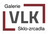logo Zbyšek Vlk