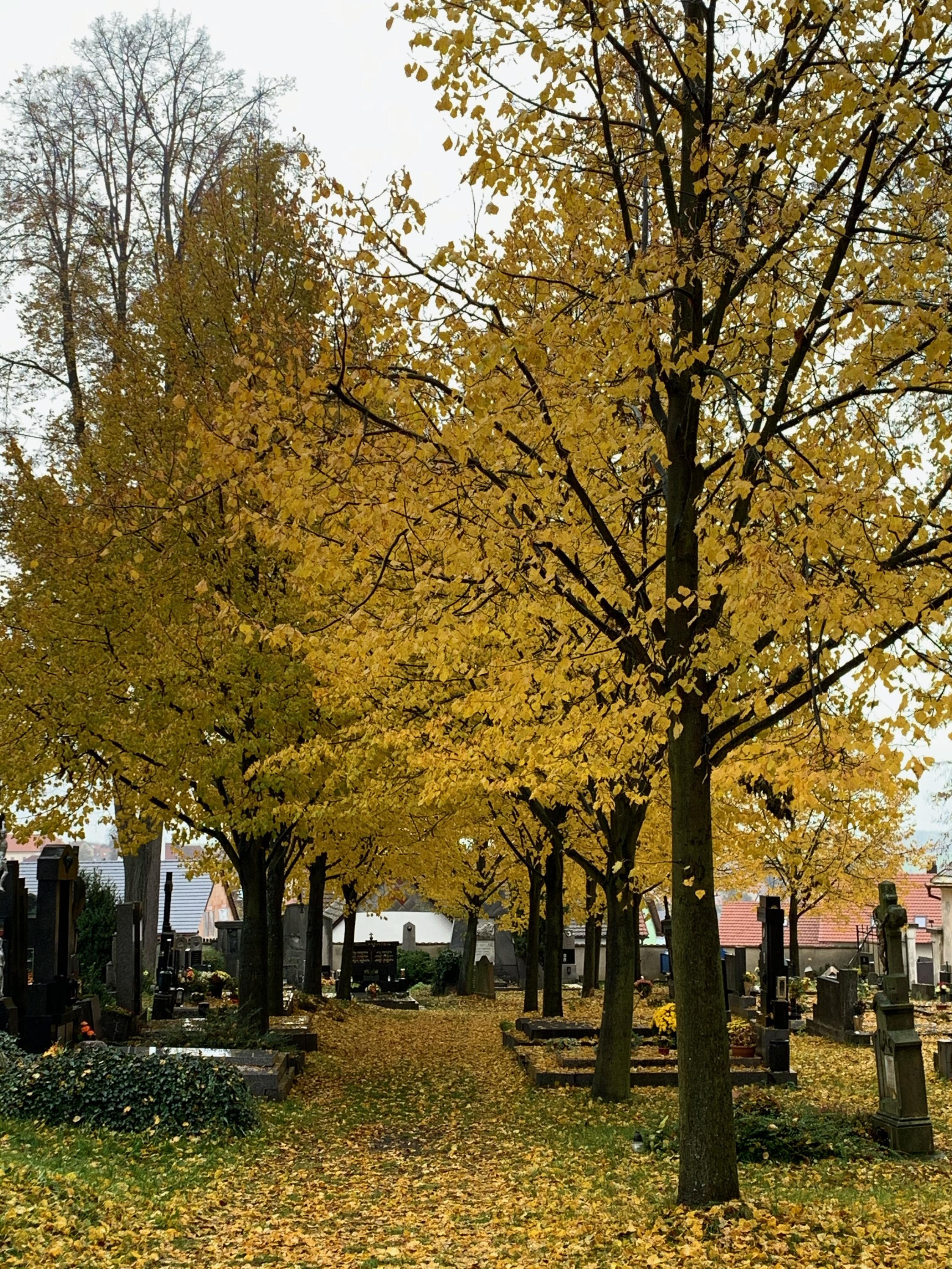 Pohřební služba kraje Vysočina foto 4