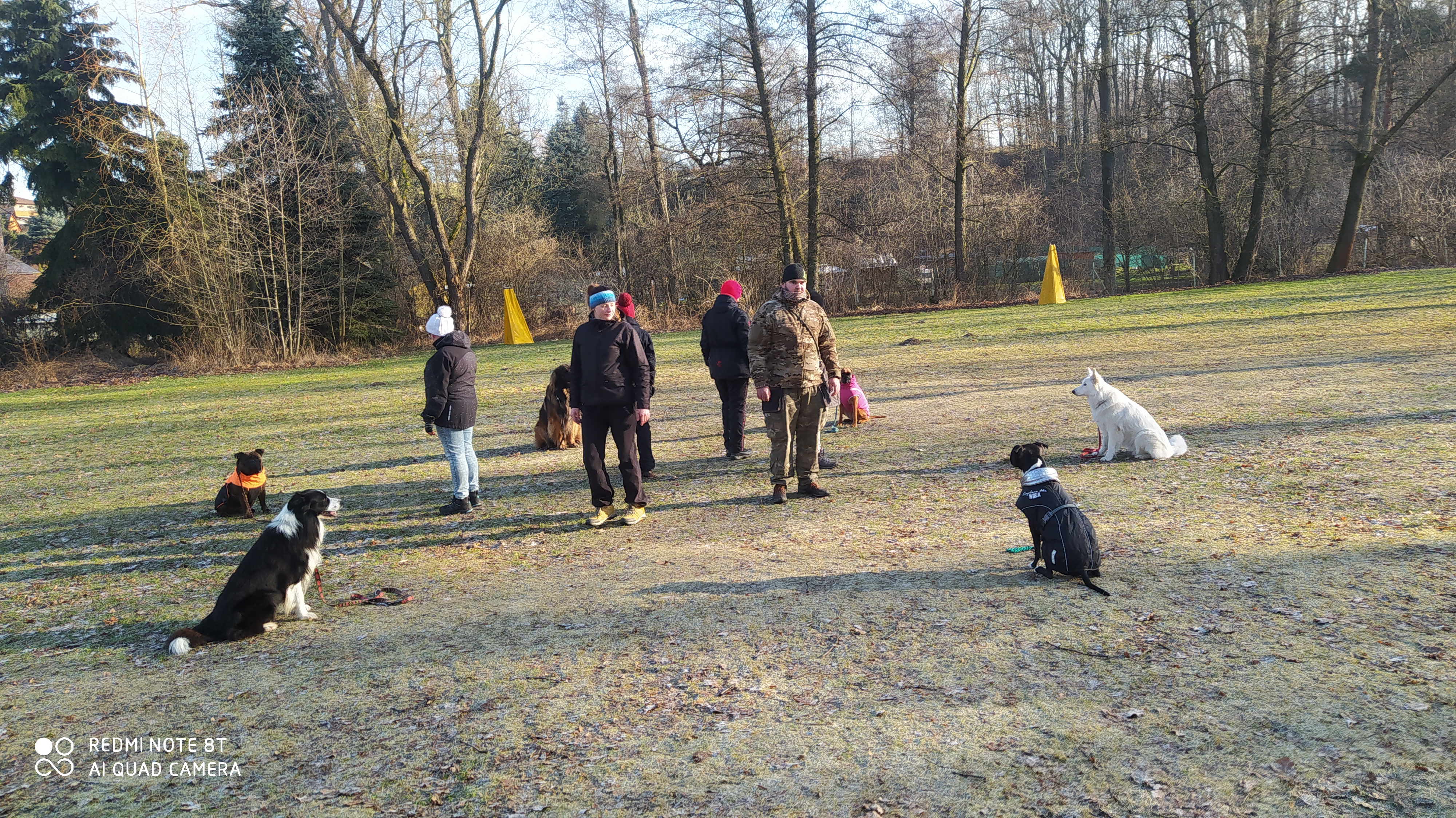 Psí škola Dopey foto 4