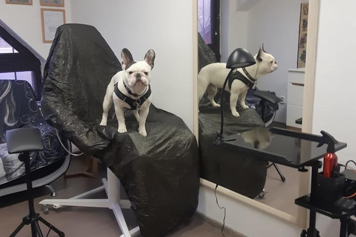 Tetovací salon TATTO - Jiří Gabzdyl