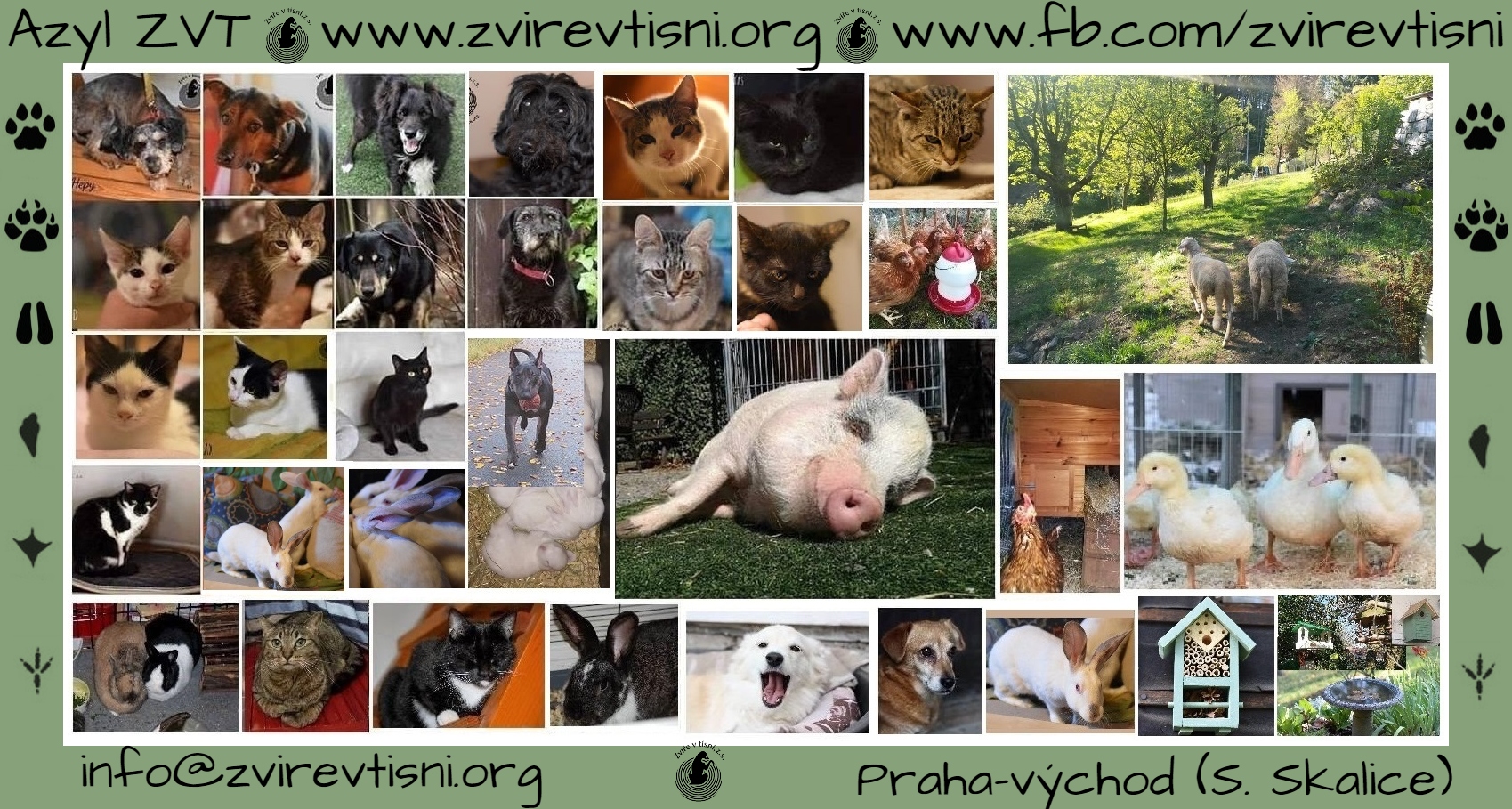 Zvíře v tísni, z.s. foto 3