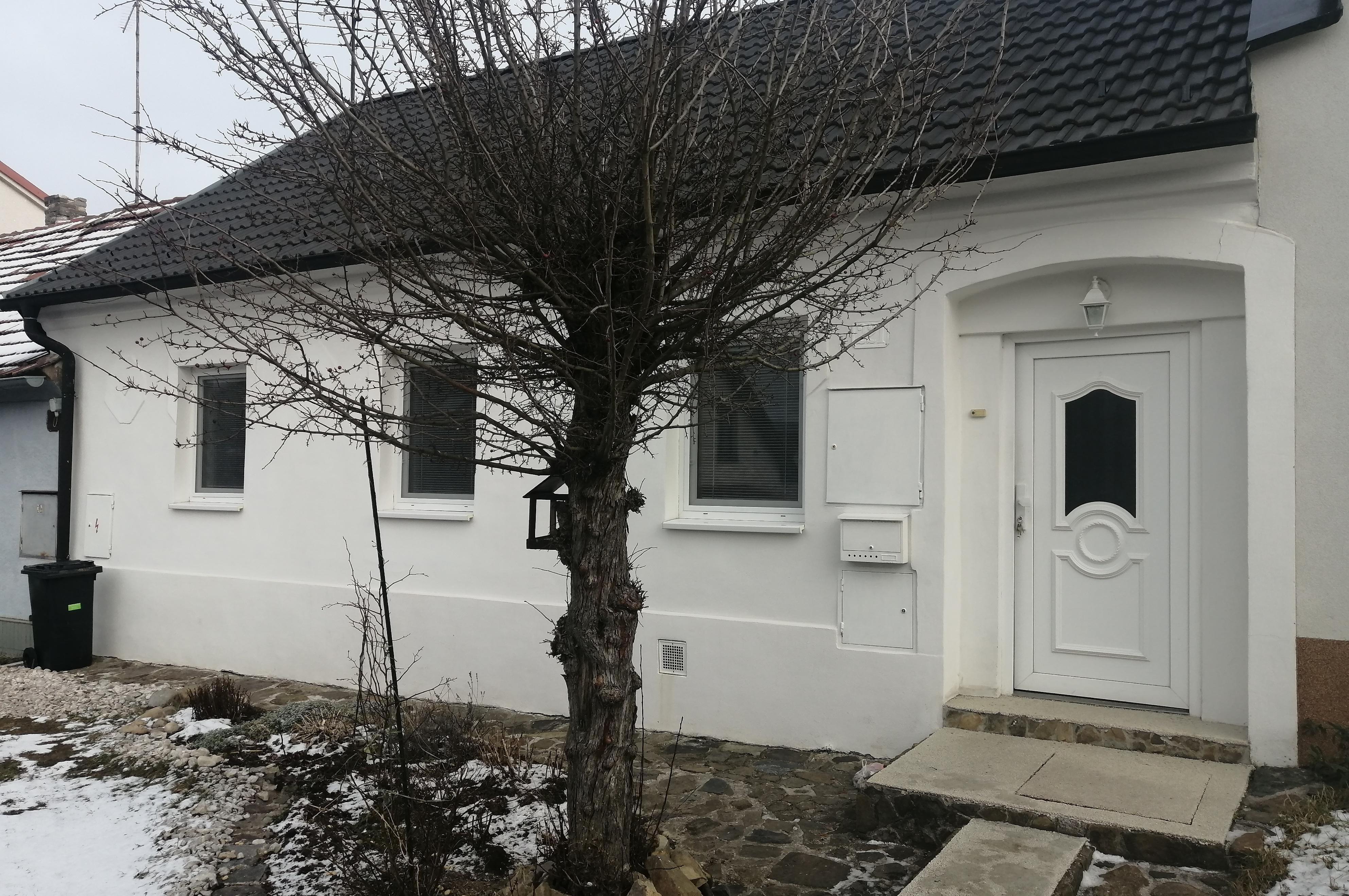 Kineziologická poradna Mgr. Štěpánka Jarůšková foto 3