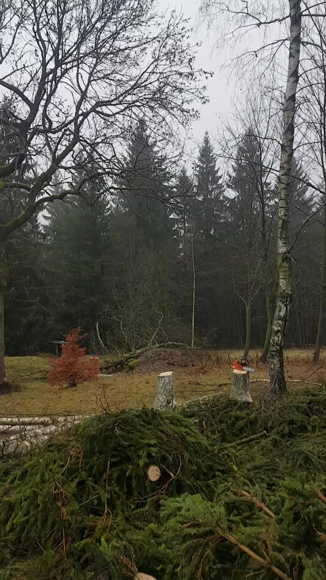 Výškové práce - Patrik Šindelář foto 2 (náhled videa)