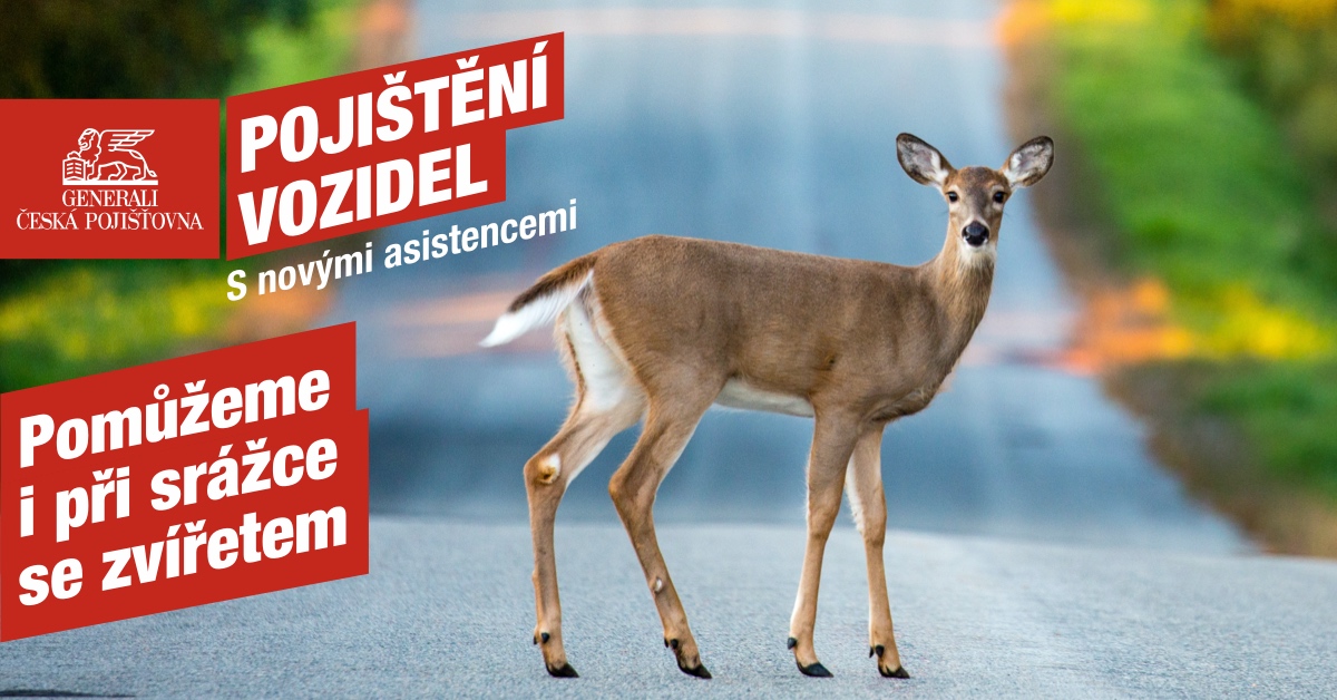 Rostislav Grufīk - Generali Česká pojišťovna foto 4