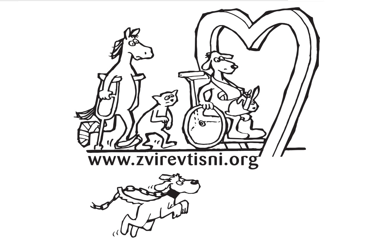 Zvíře v tísni, z.s. foto 2
