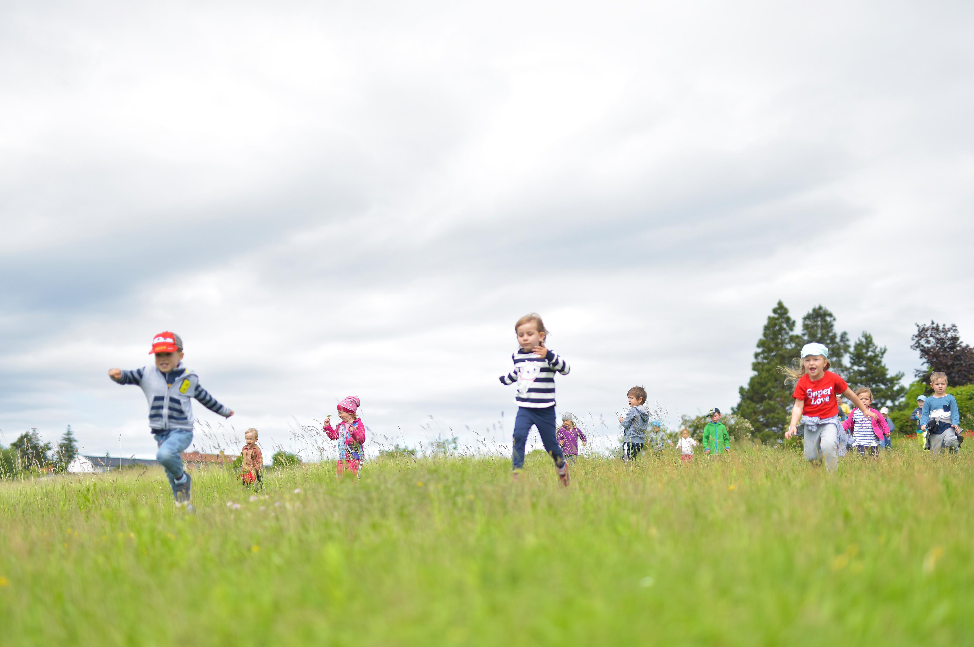 Montessori mateřská škola Semínko Brno, s.r.o.