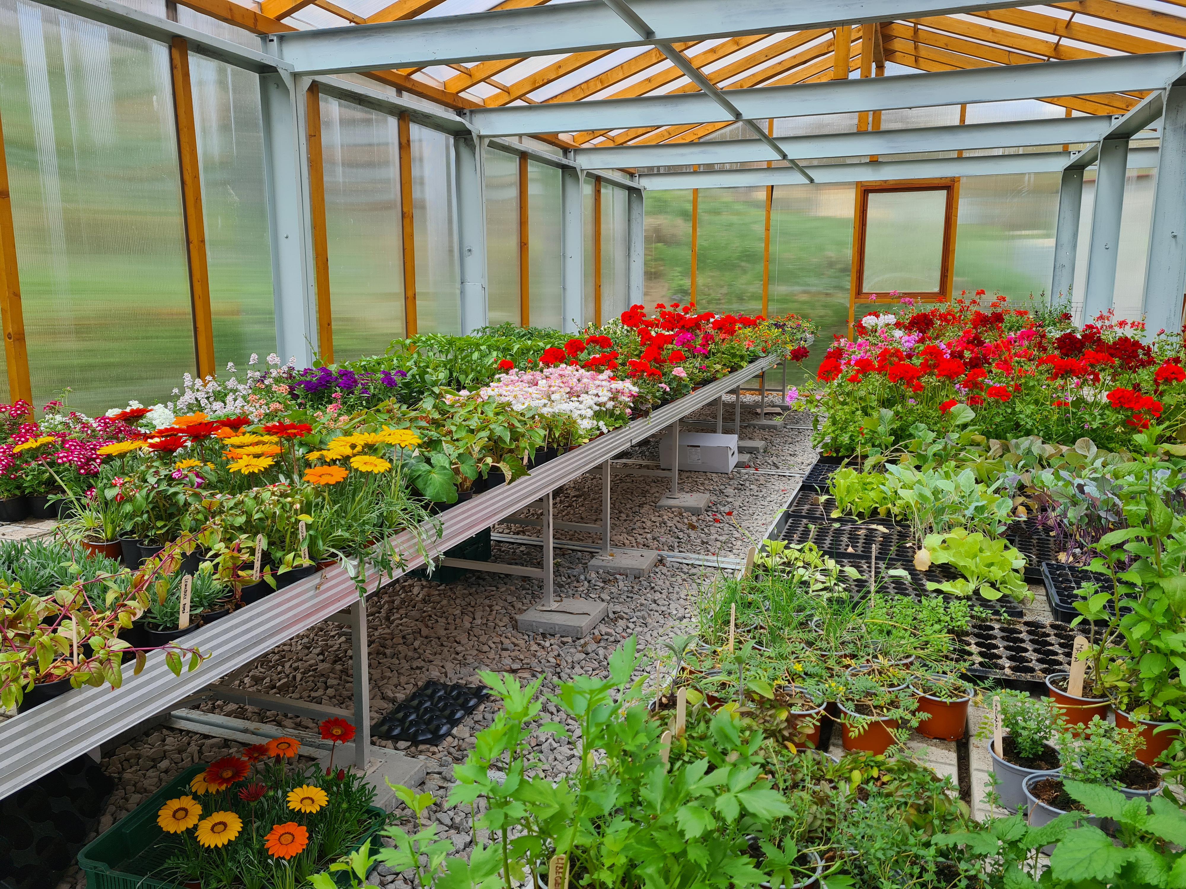 Zahradnictví Jurka foto 3