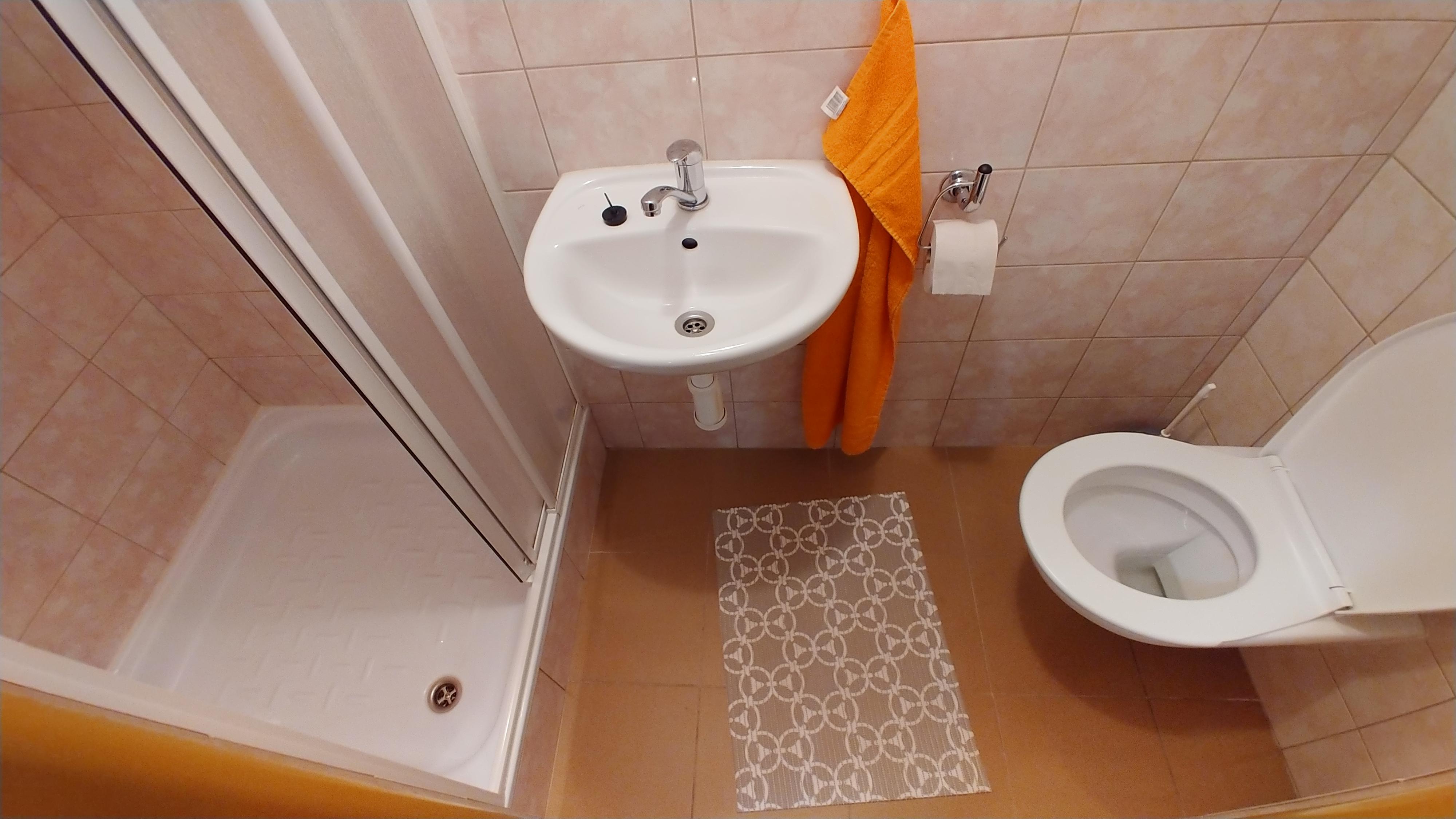 Penzion - ubytování U Vorlíčků foto 6